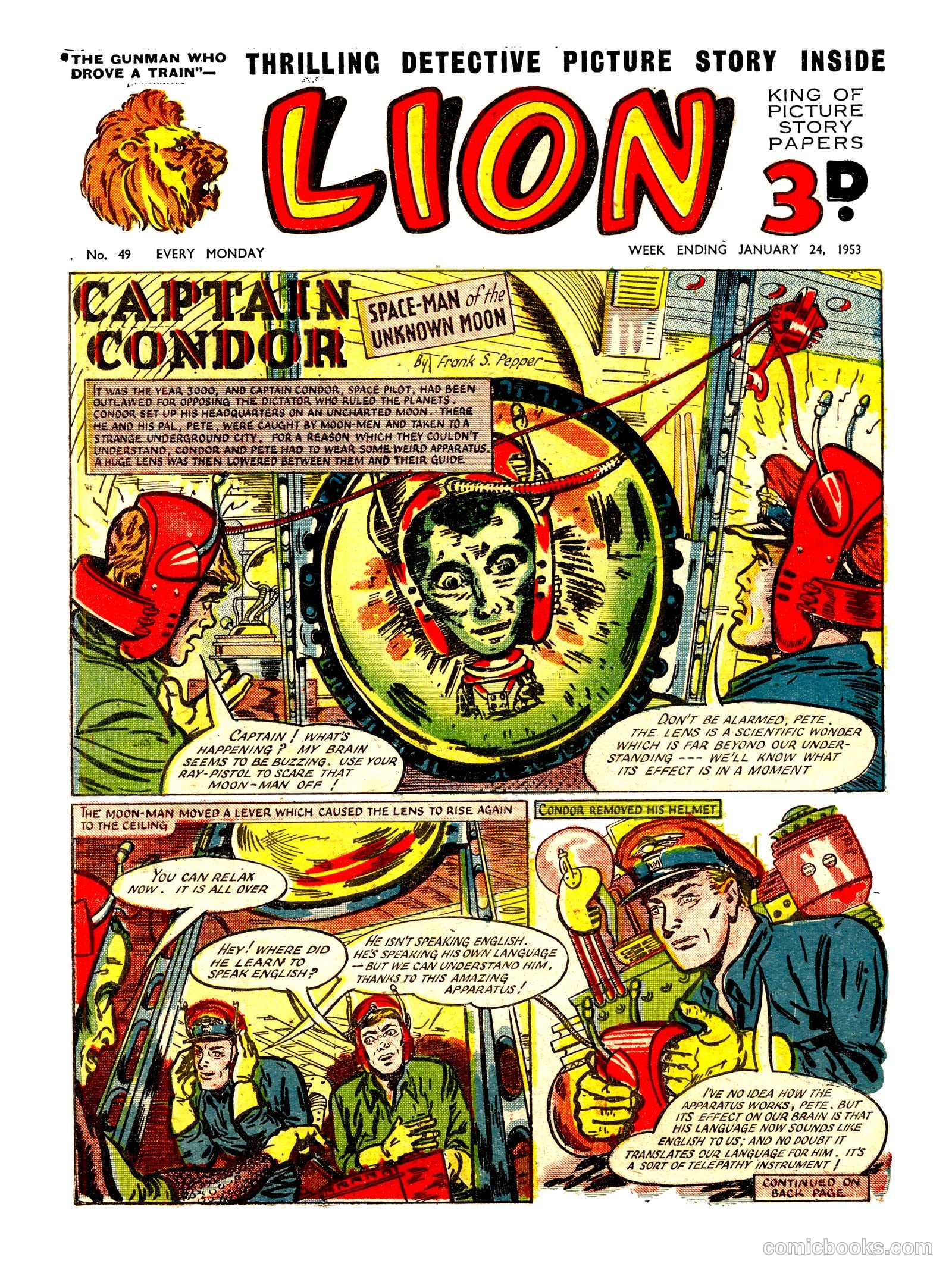 Lion #49