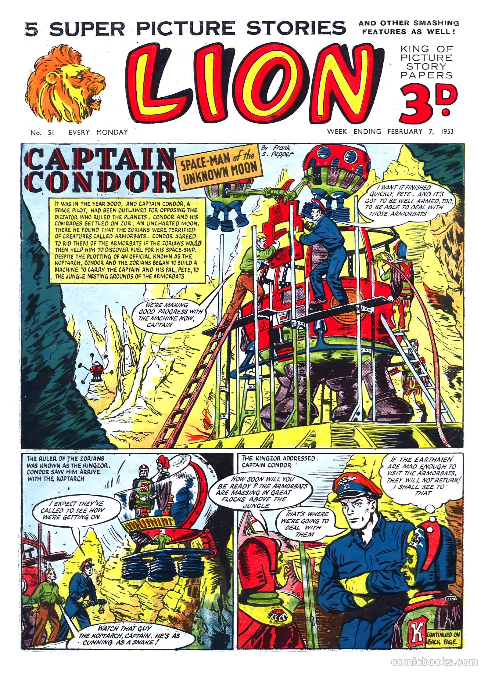 Lion #51