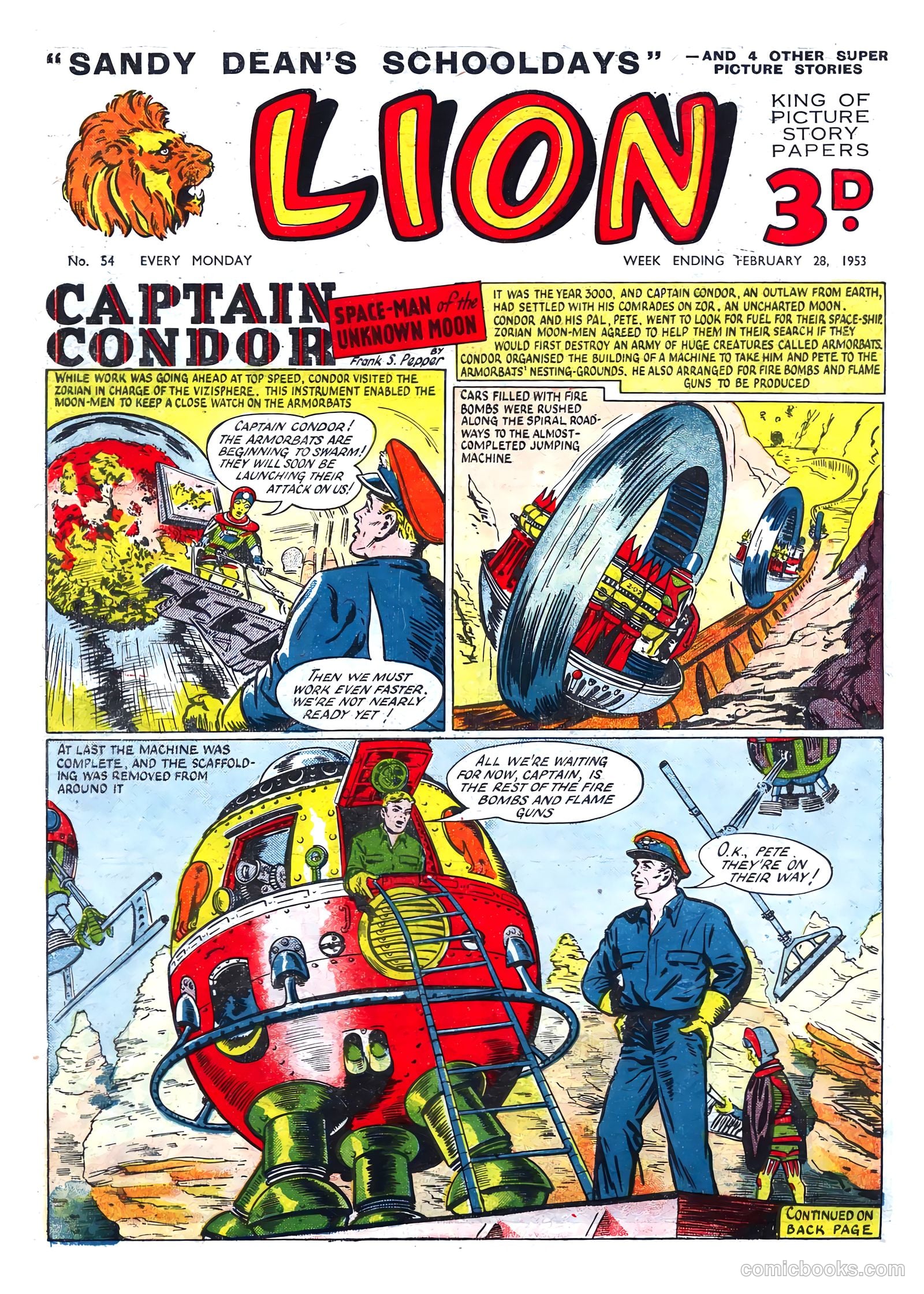 Lion #54
