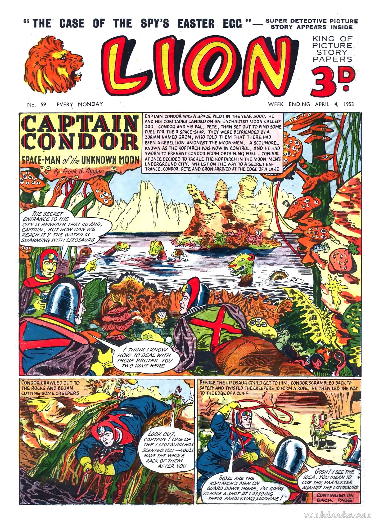 Lion #59