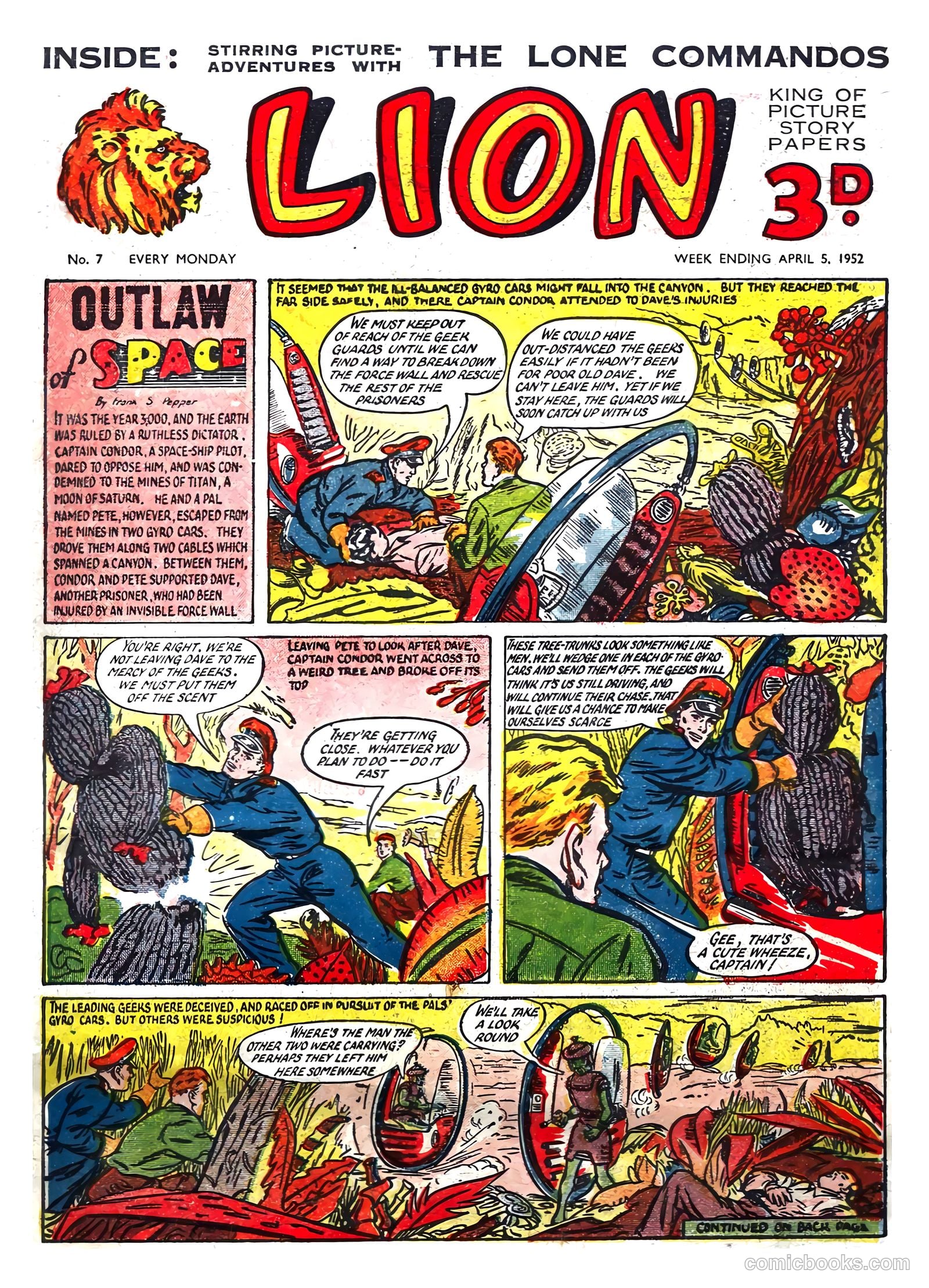 Lion #7