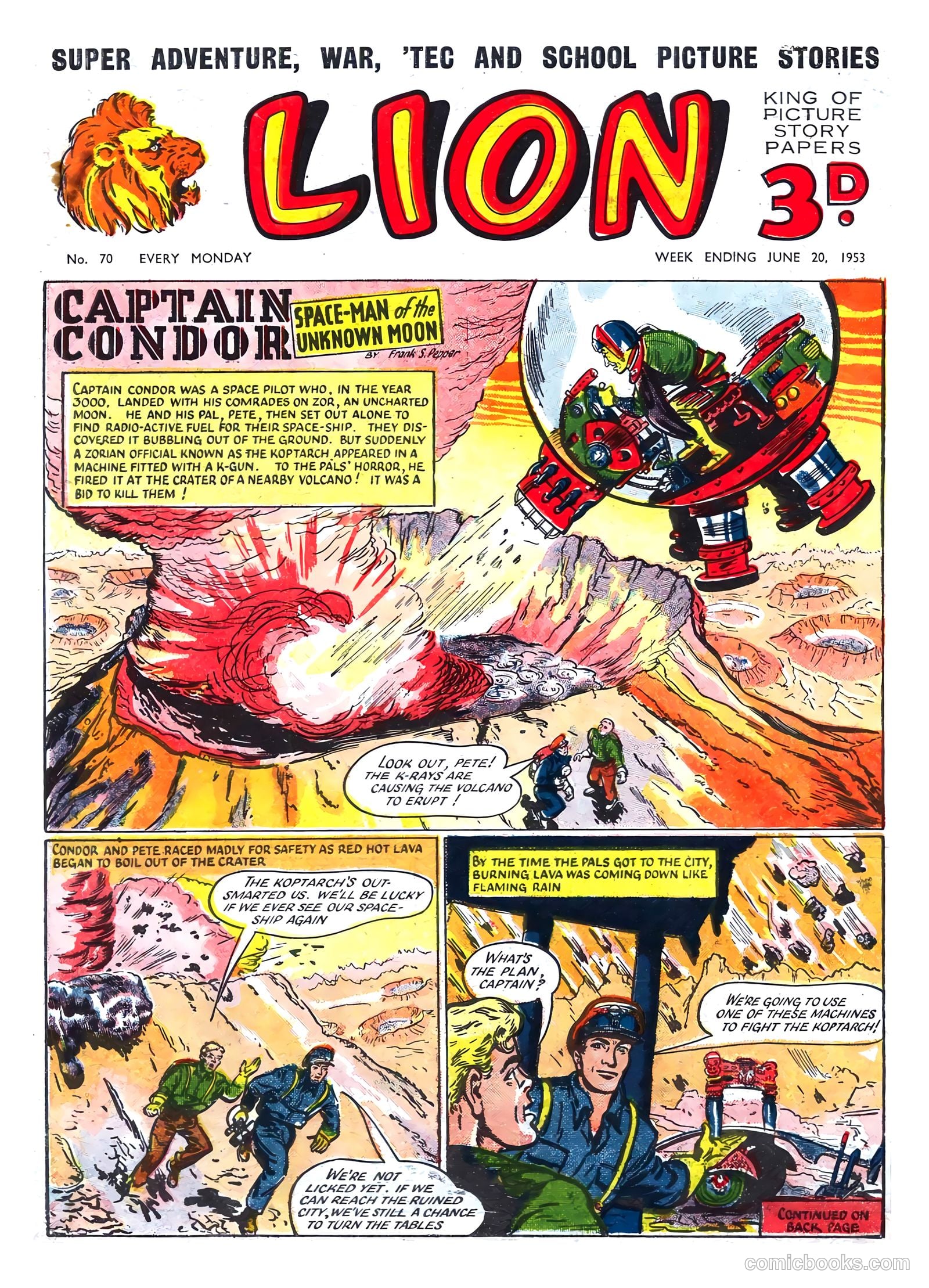 Lion #70