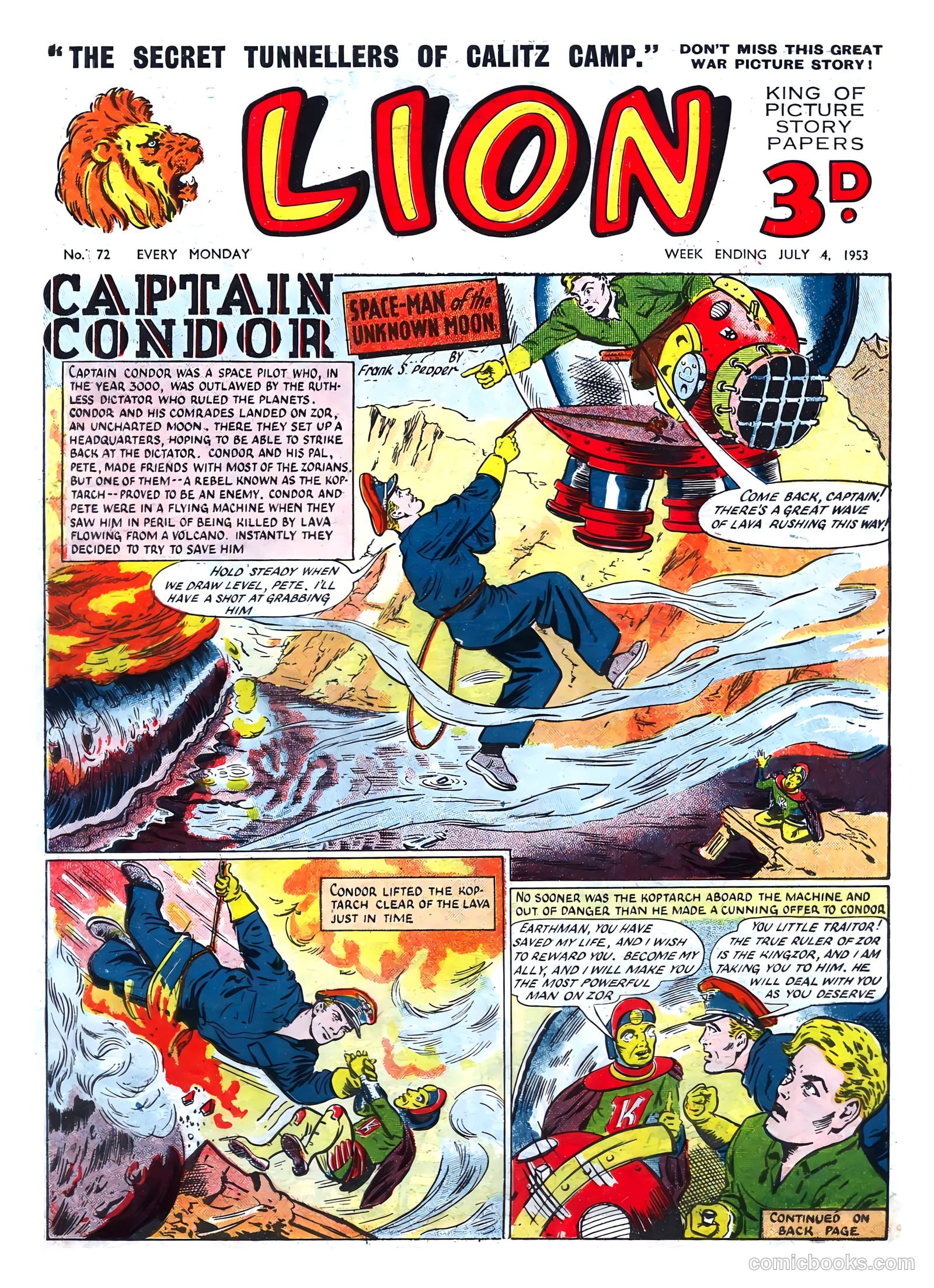 Lion #72