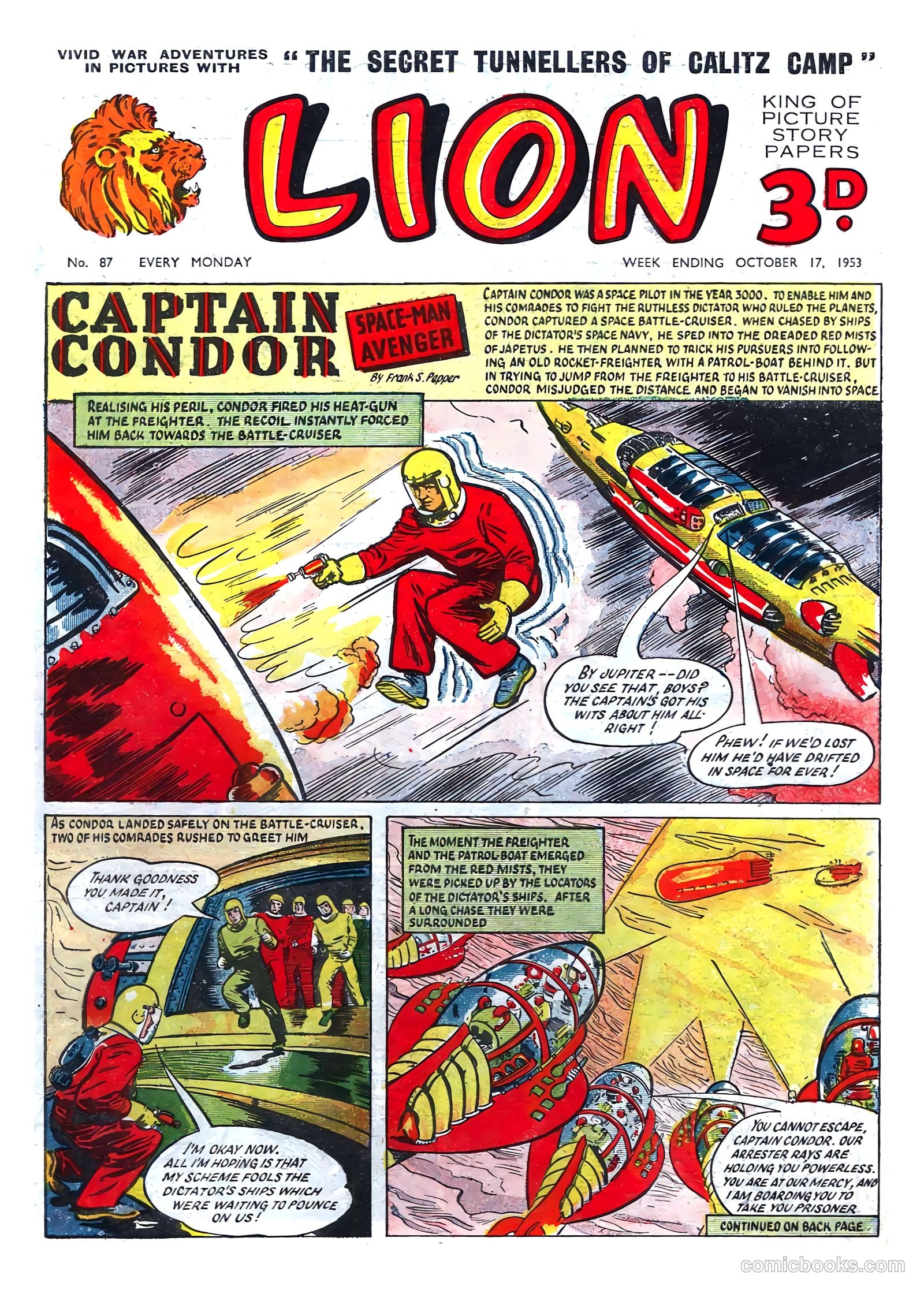Lion #87