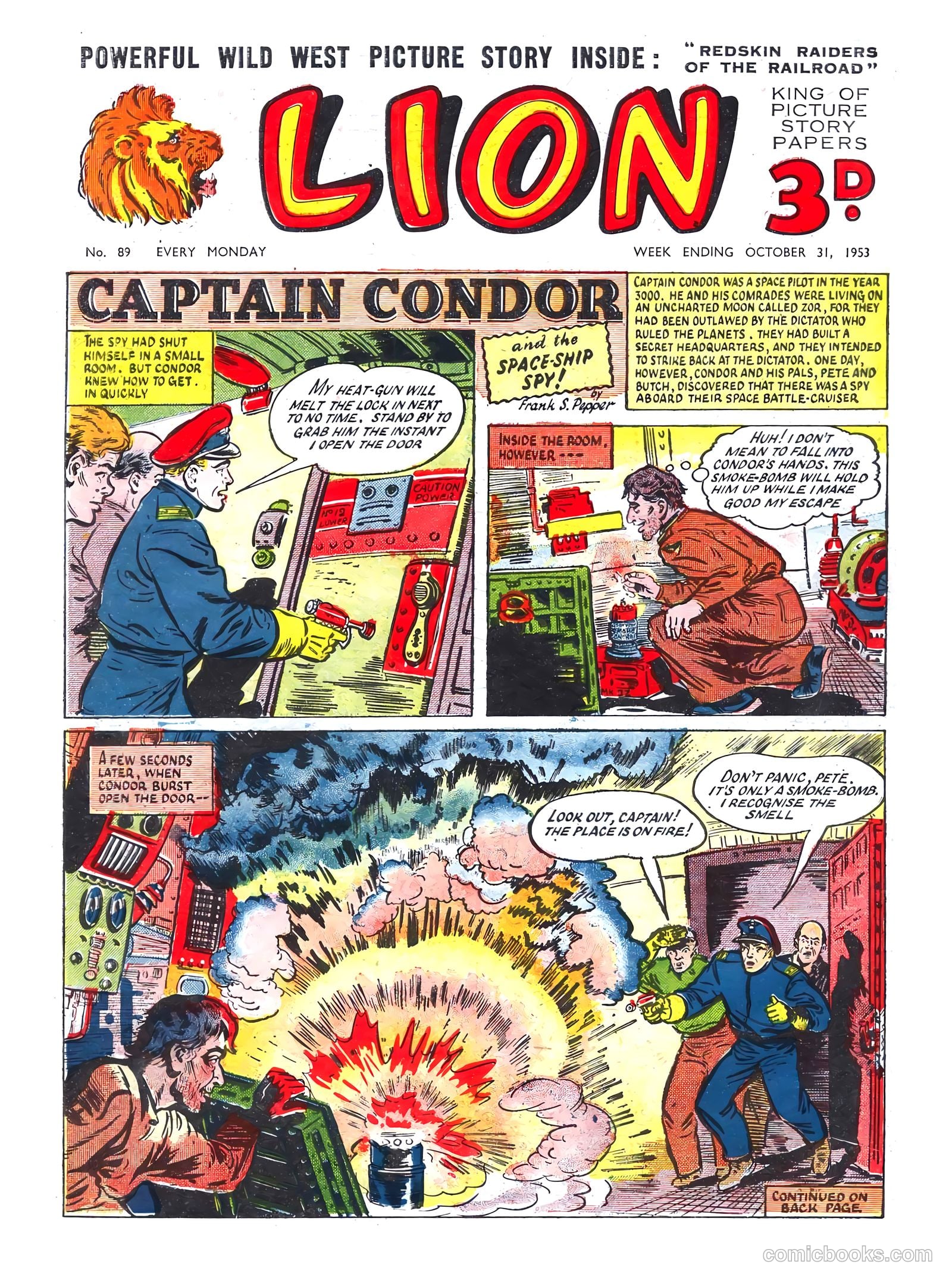 Lion #89