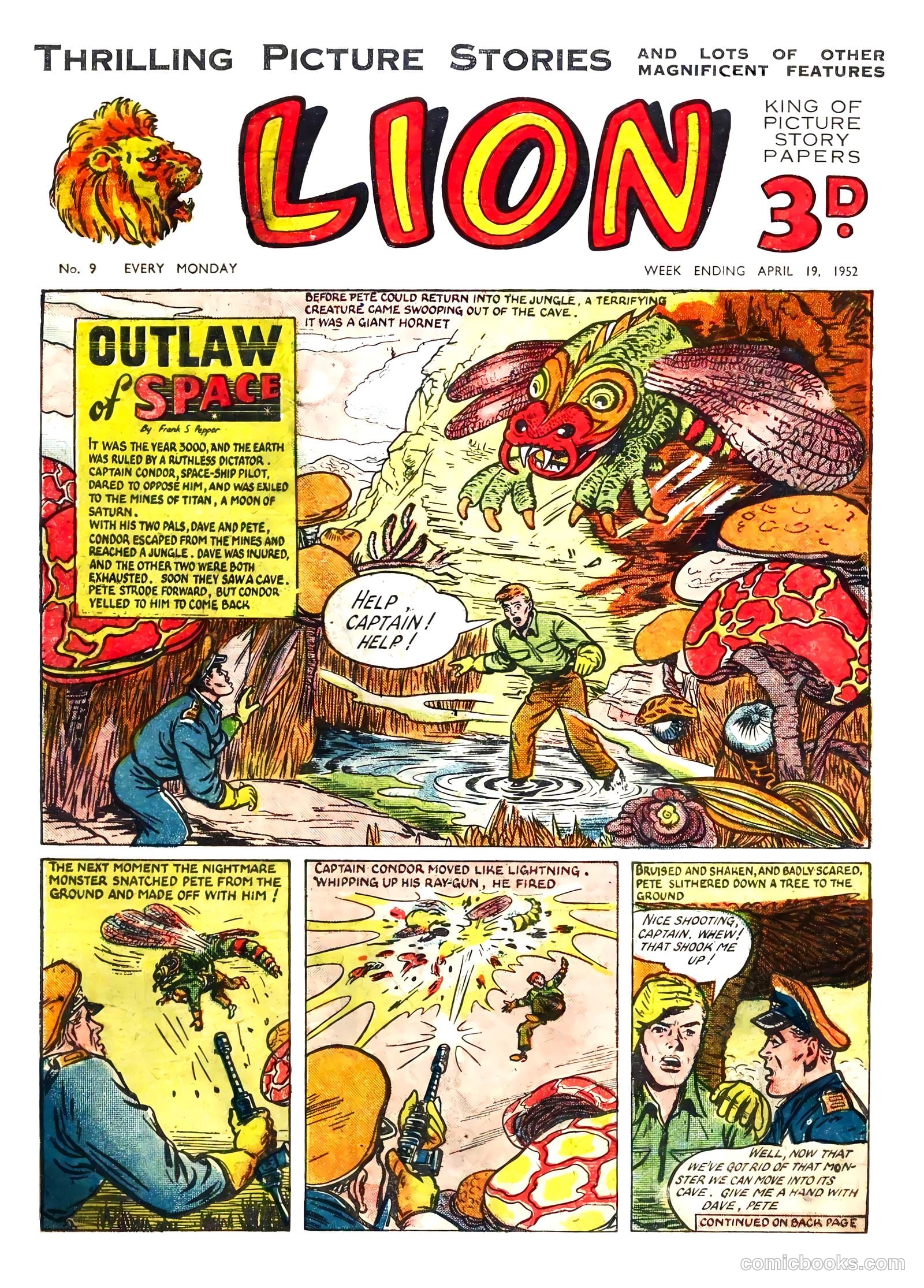 Lion #9