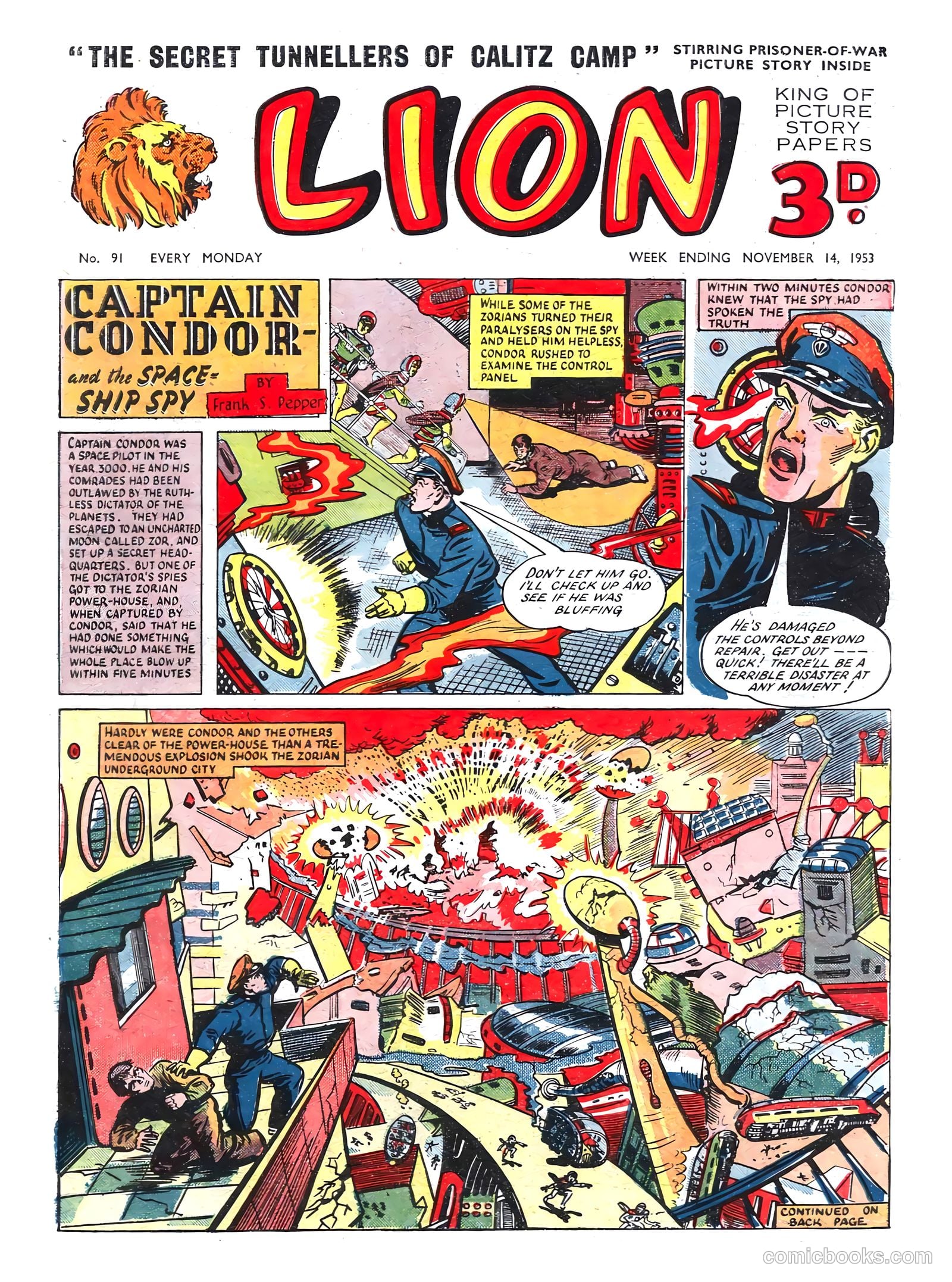 Lion #91