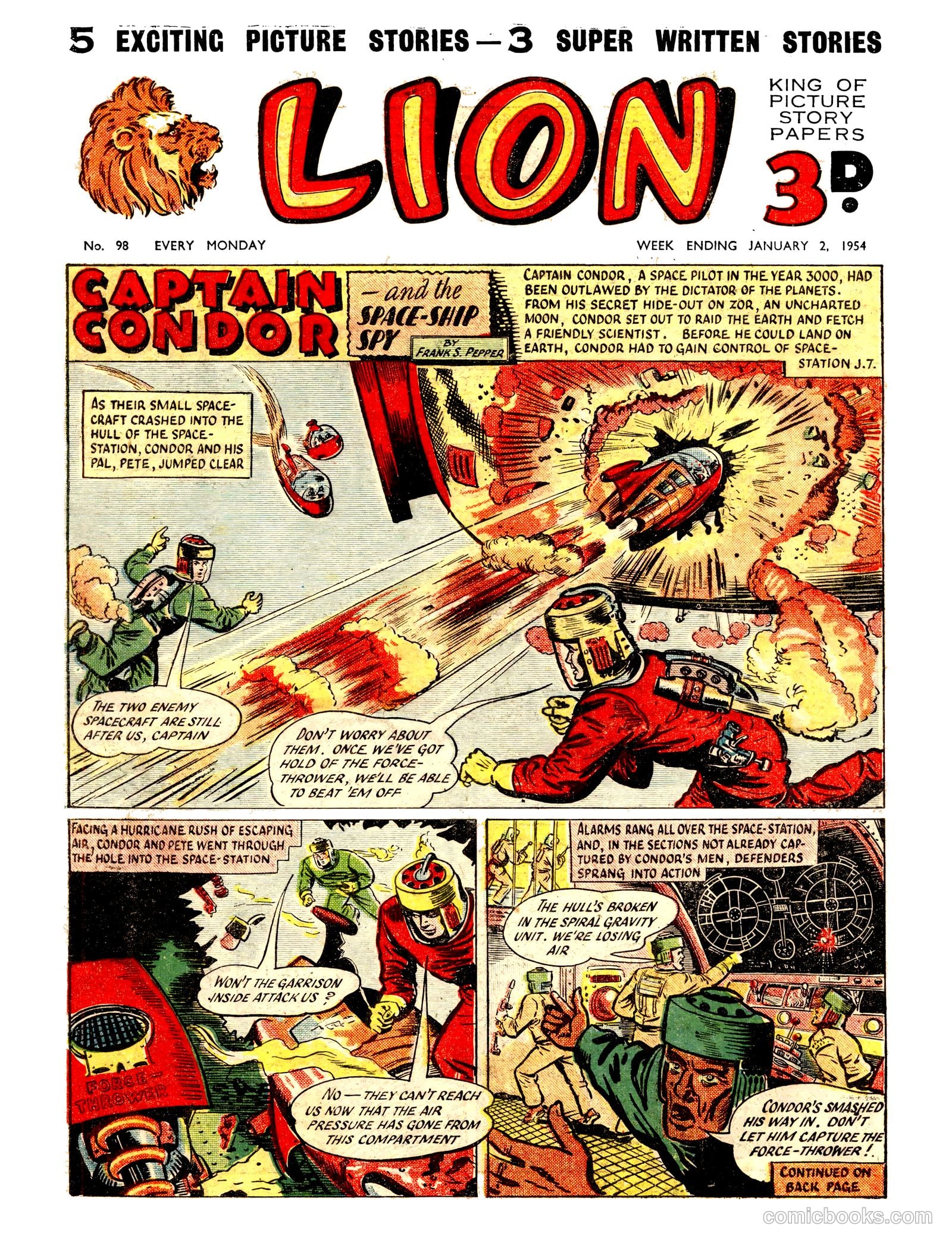 Lion #98