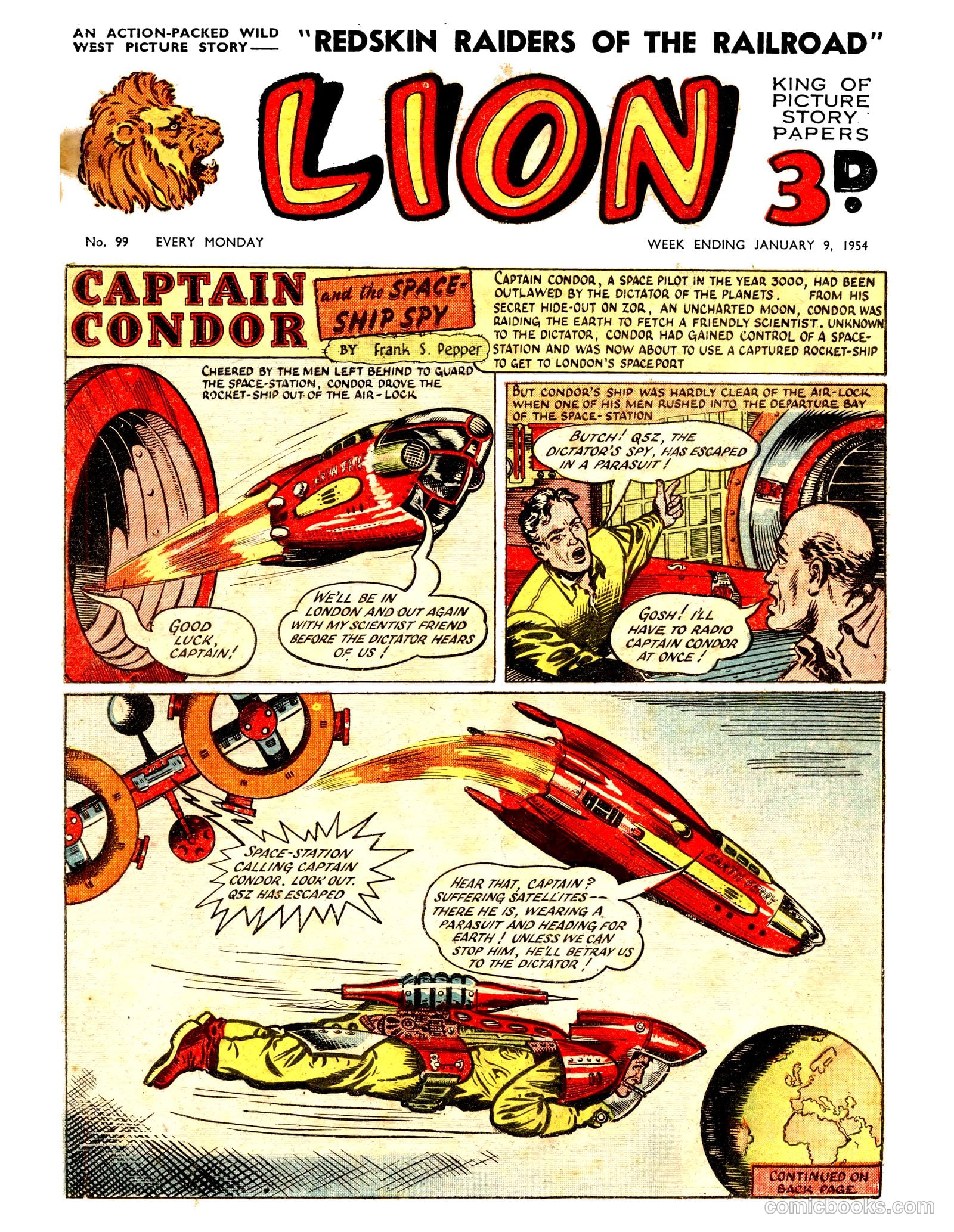 Lion #99