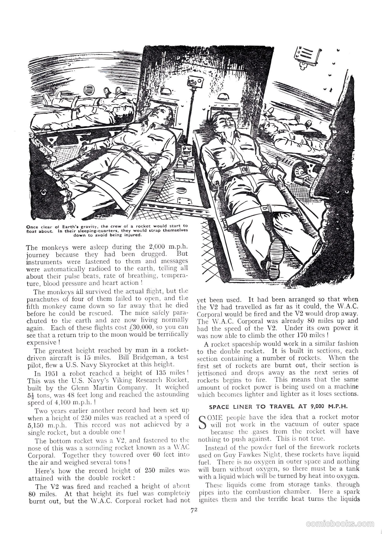 Lion Annual #1954 (1954) — page 74 of 147
