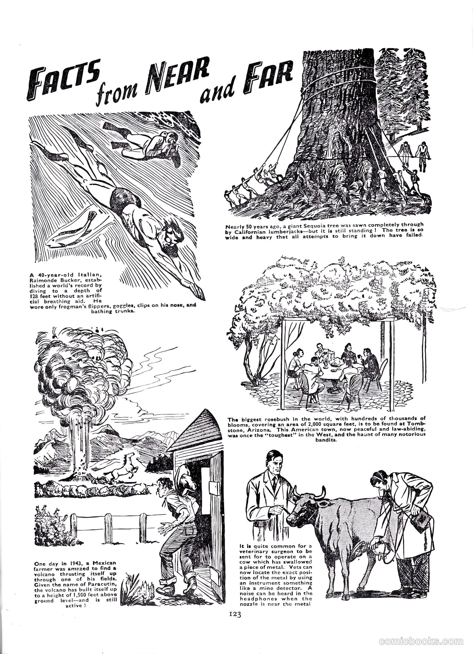 Lion Annual #1954 (1954) — page 125 of 147