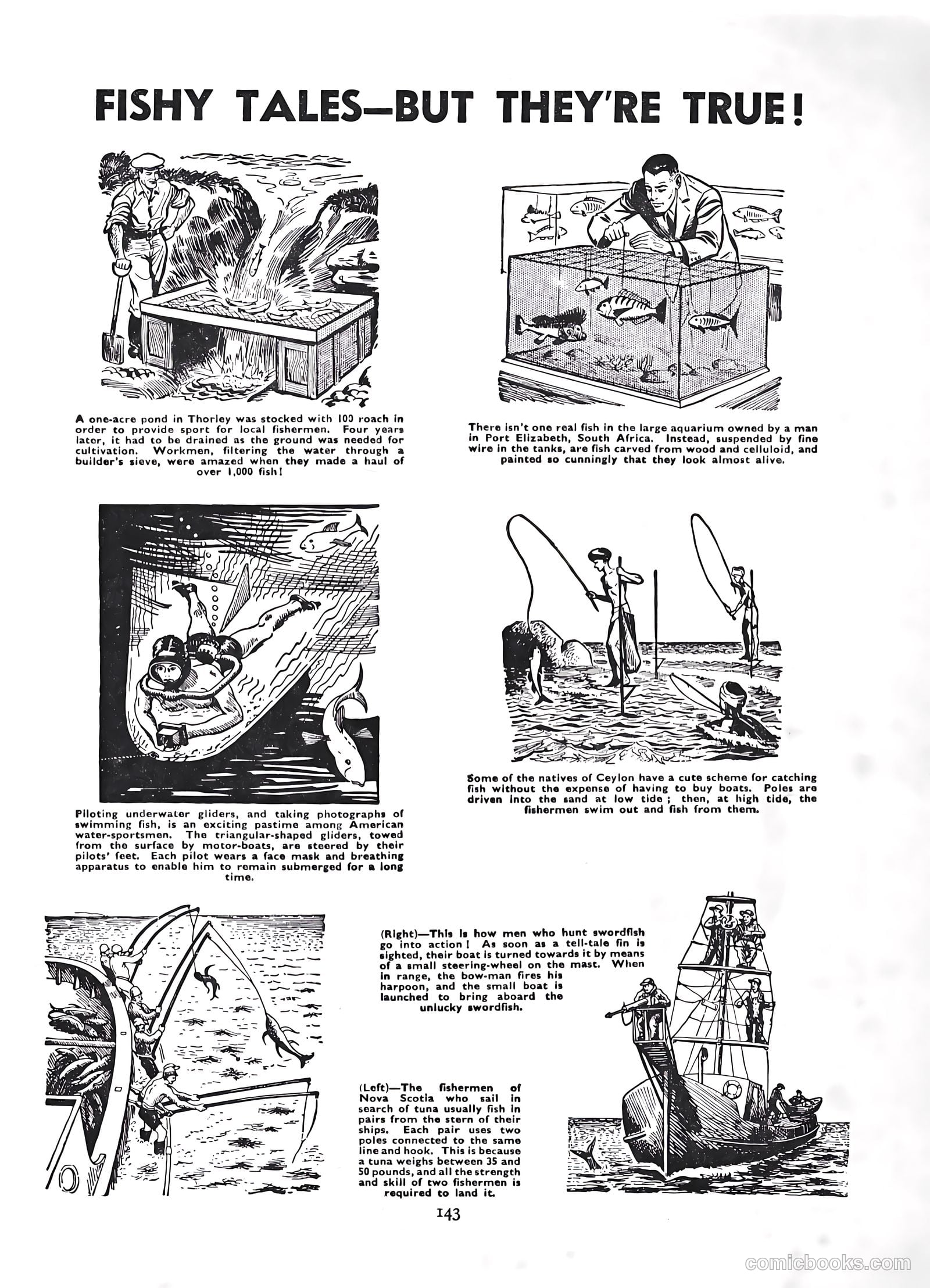 Lion Annual #1954 (1954) — page 145 of 147