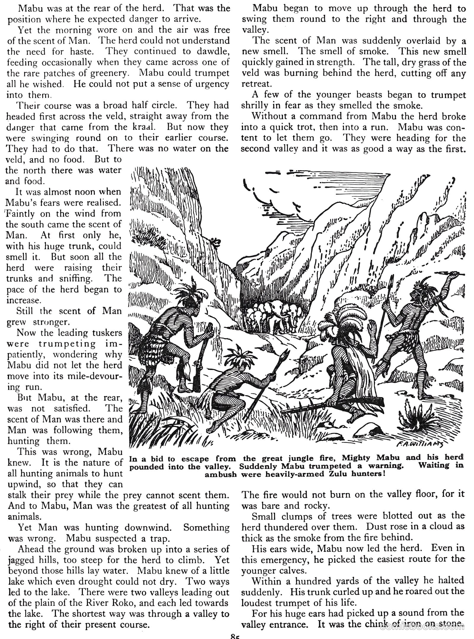 Lion Annual #1956 (1956) — page 85 of 161