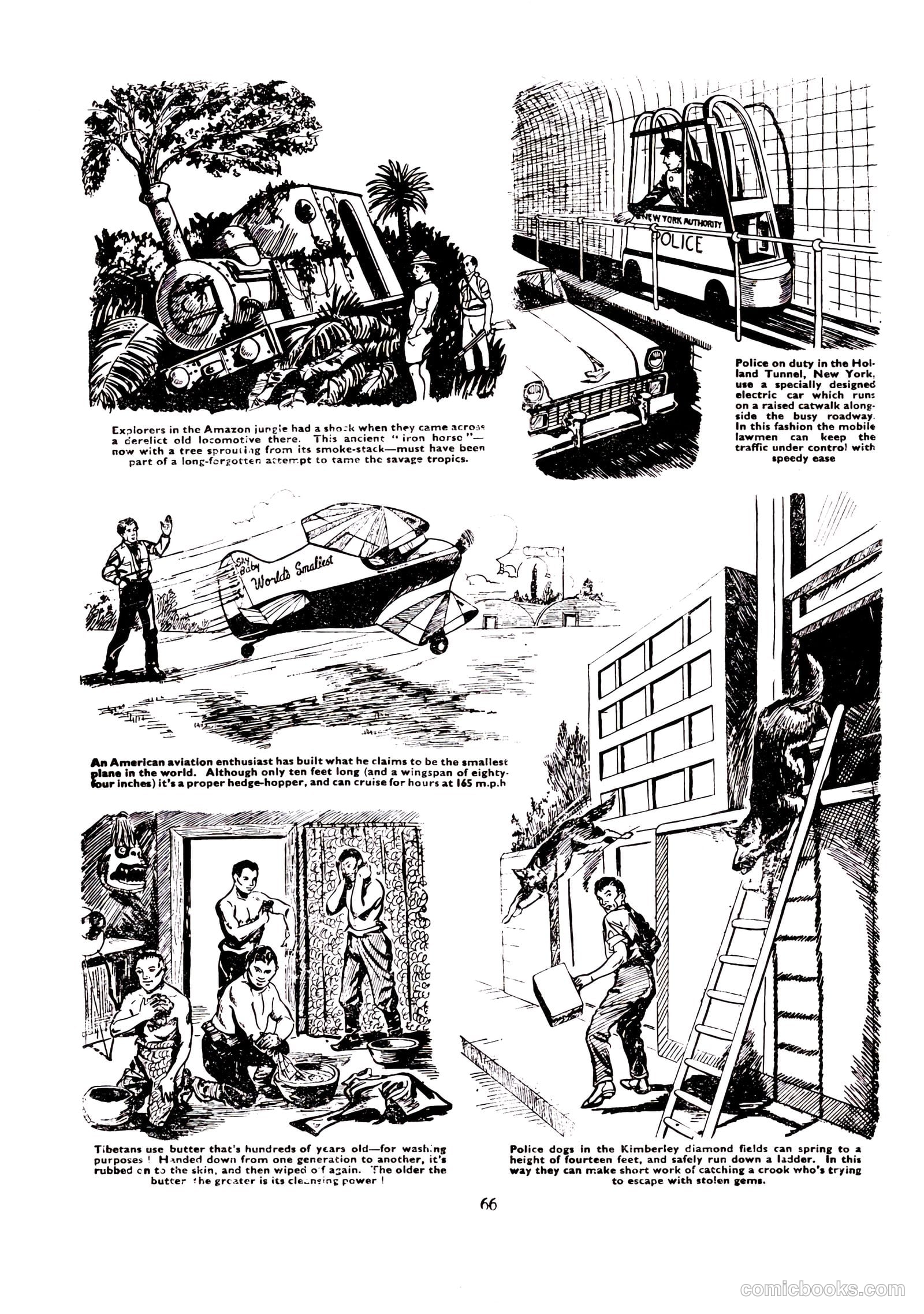 Lion Annual #1958 (1958) — page 69 of 163