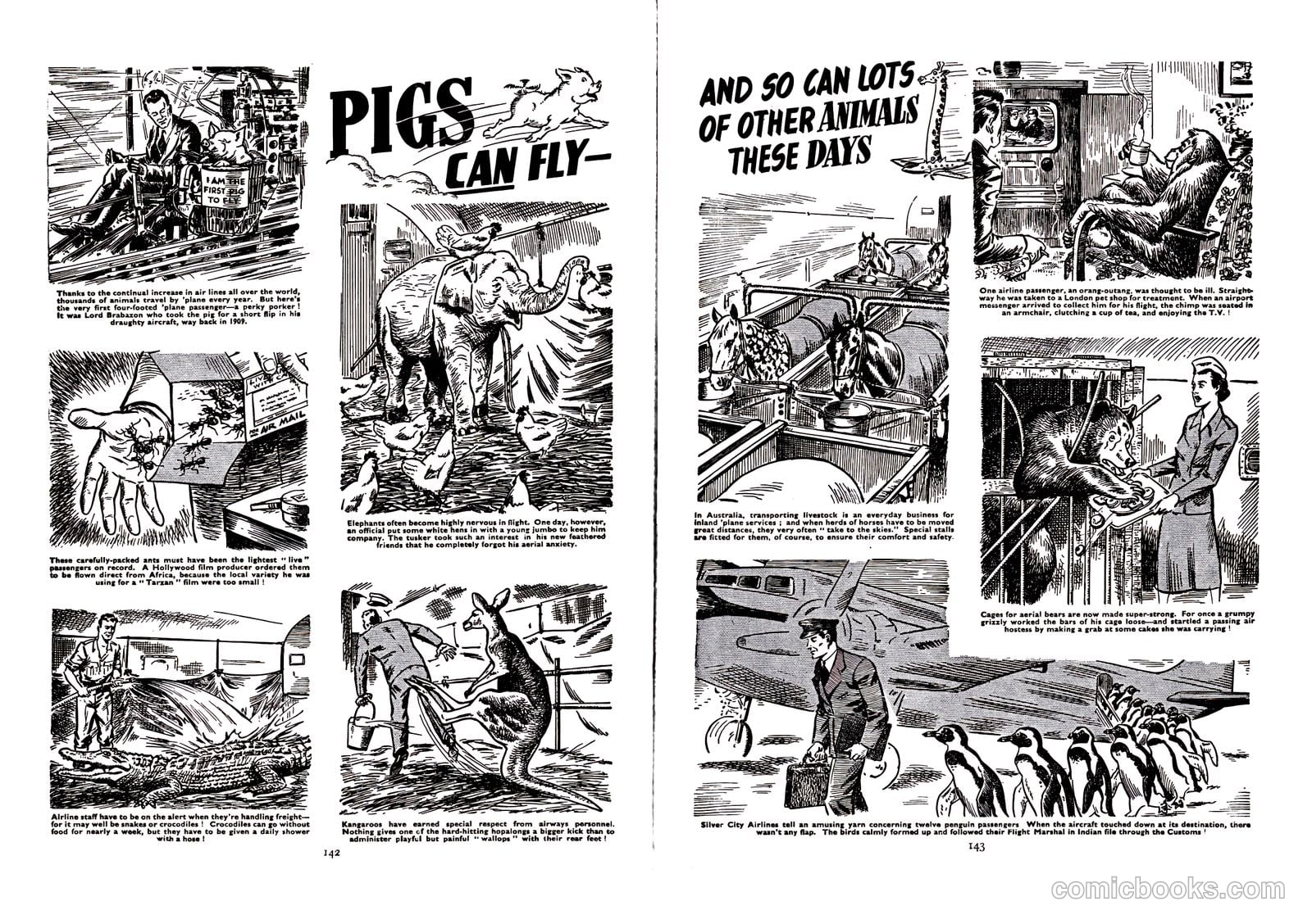 Lion Annual #1958 (1958) — page 144 of 163