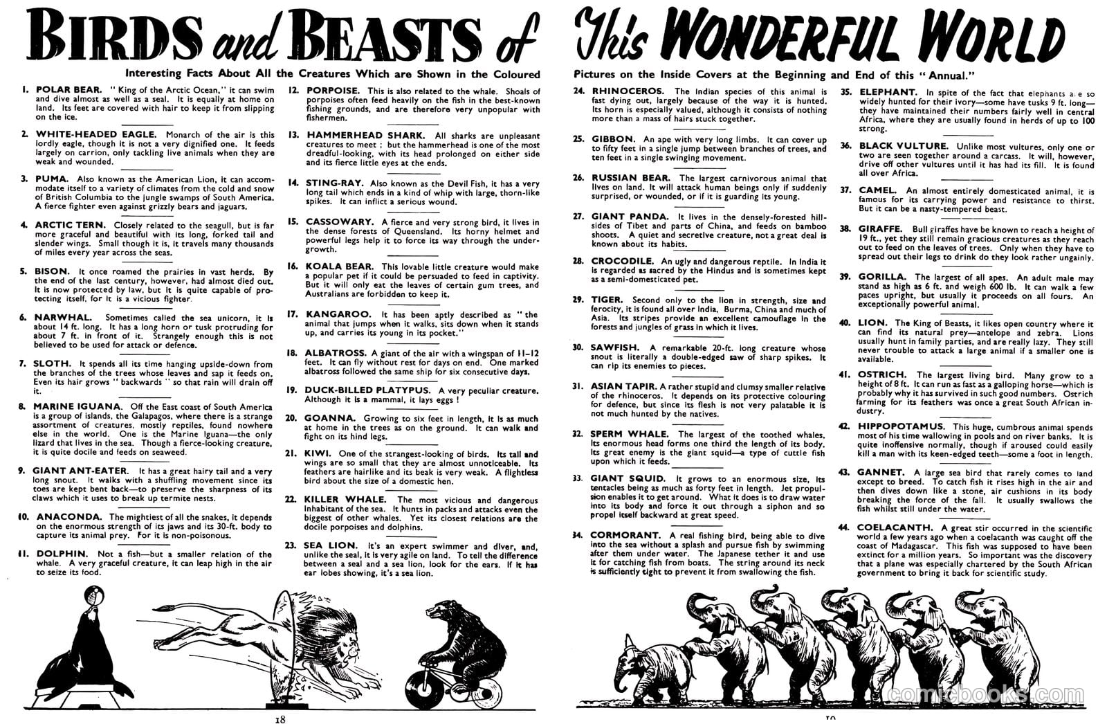 Lion Annual #1959 (1959) — page 21 of 161