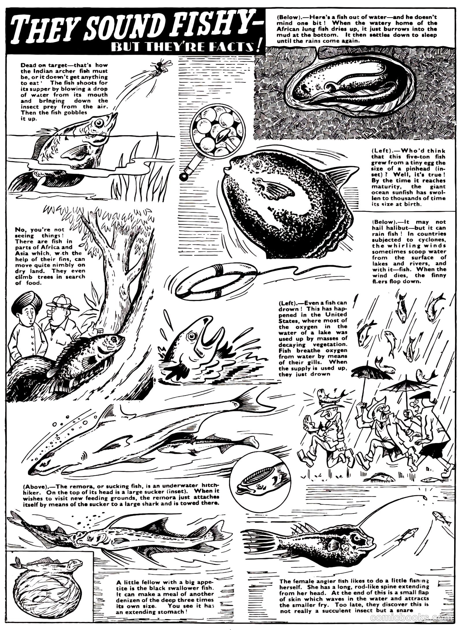Lion Annual #1960 (1959) — page 65 of 162
