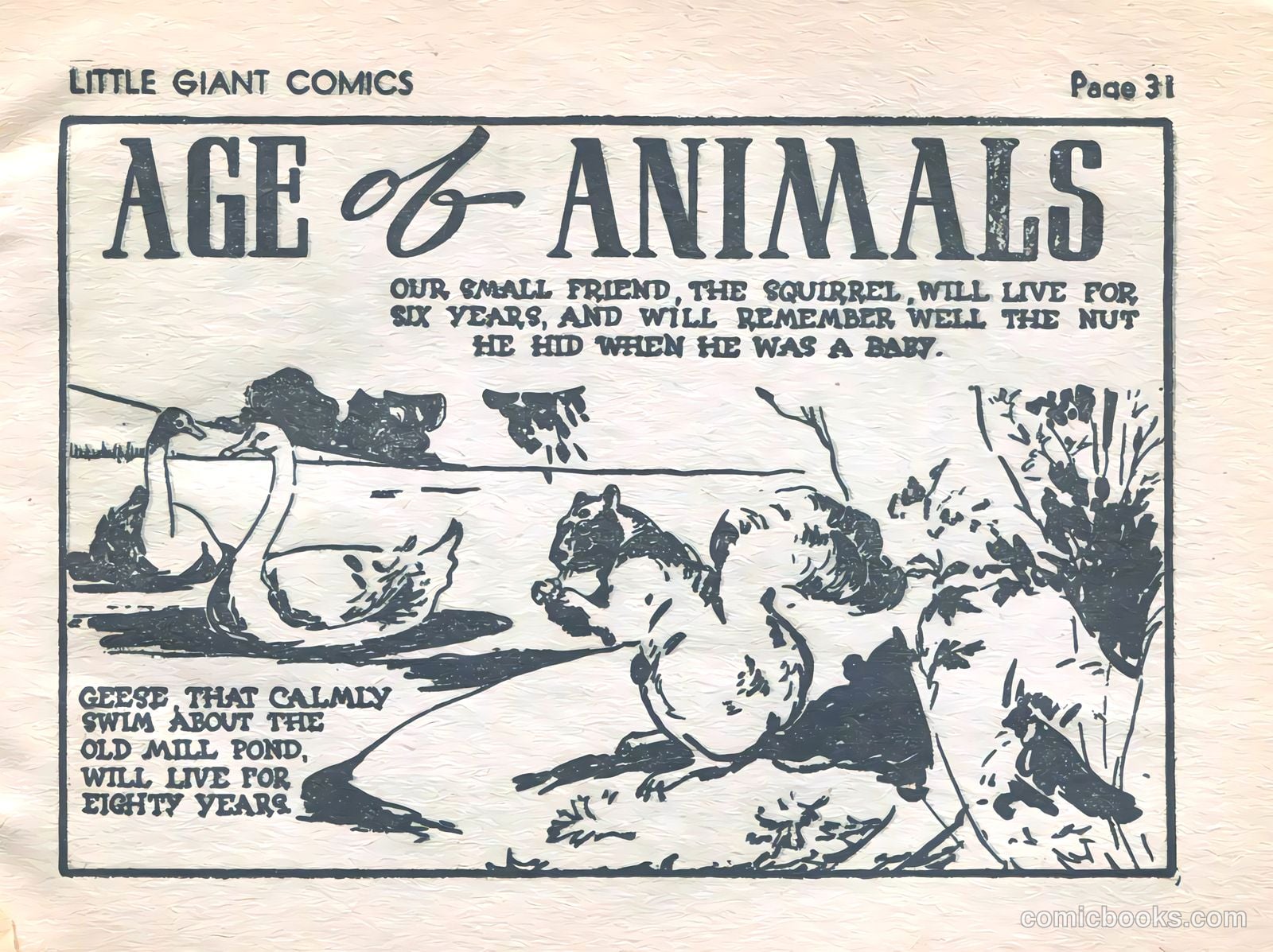 Little Giant Comics #3 (1938) — page 32 of 132