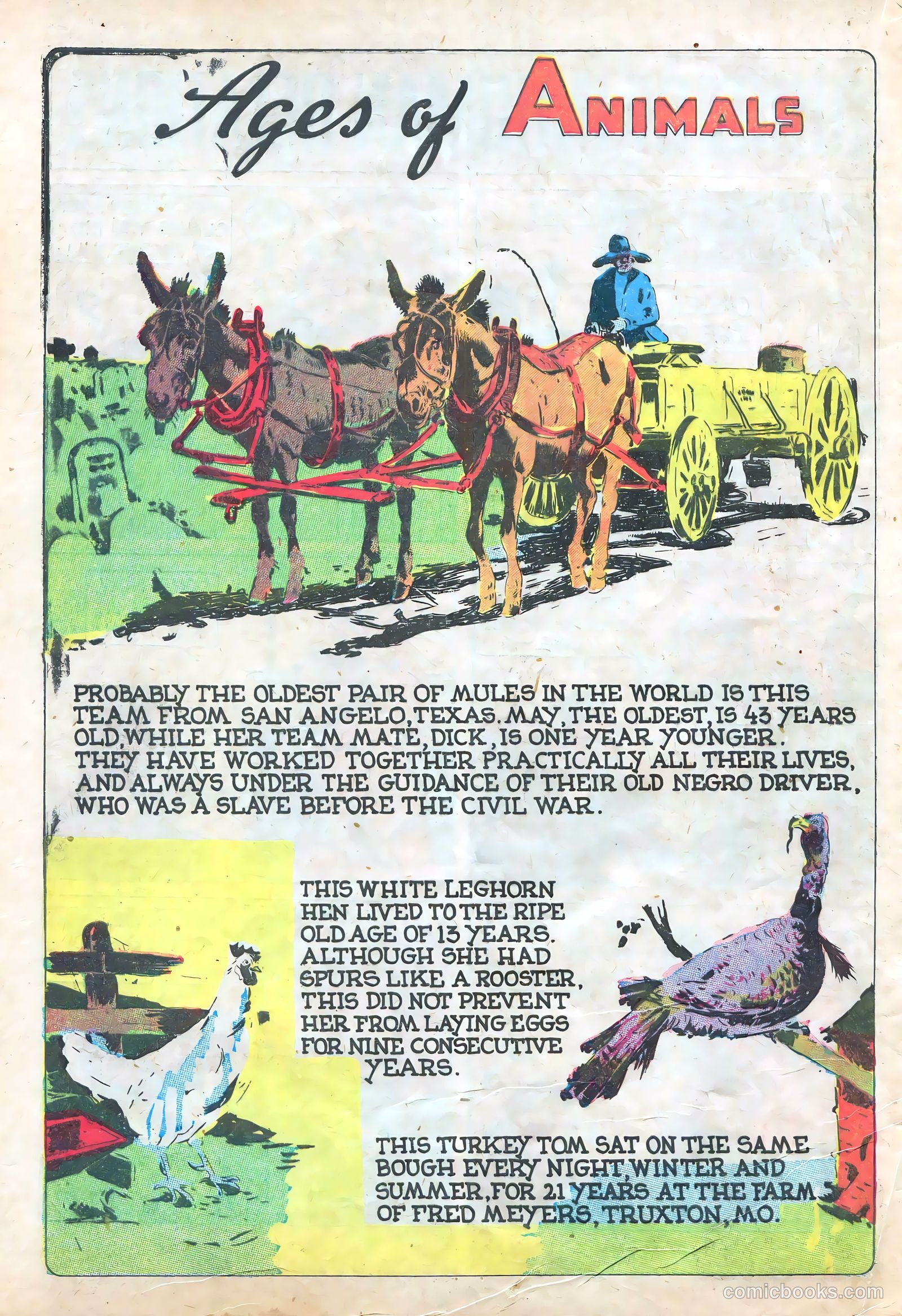Lone Star Comics #11 (1938) — page 47 of 60