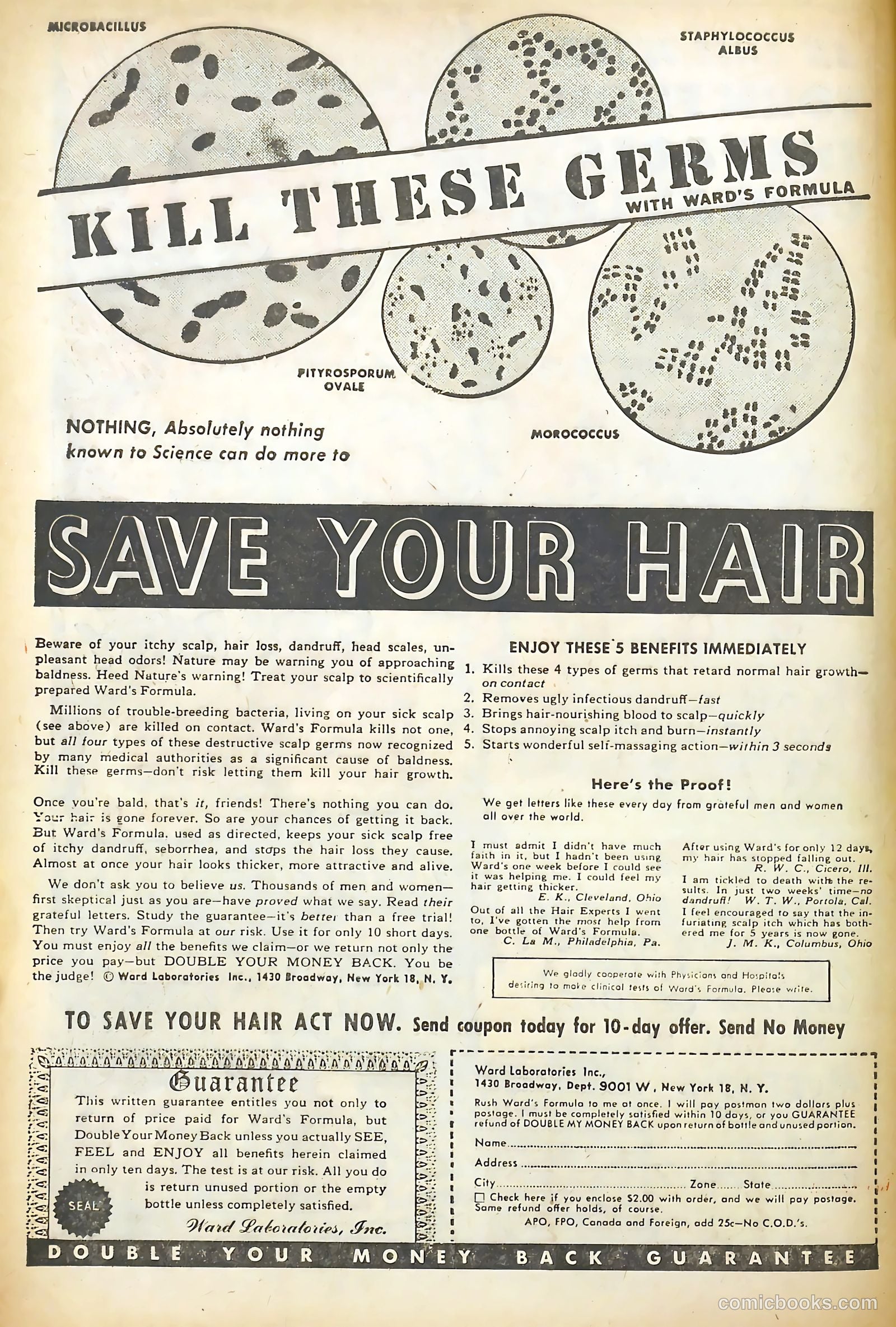 Love Illustrated #14 (1952) — page 4 of 35