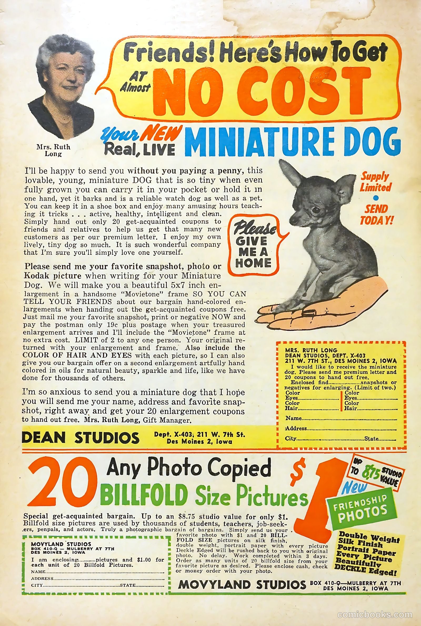 Love Illustrated #33 (1955) — page 37 of 37