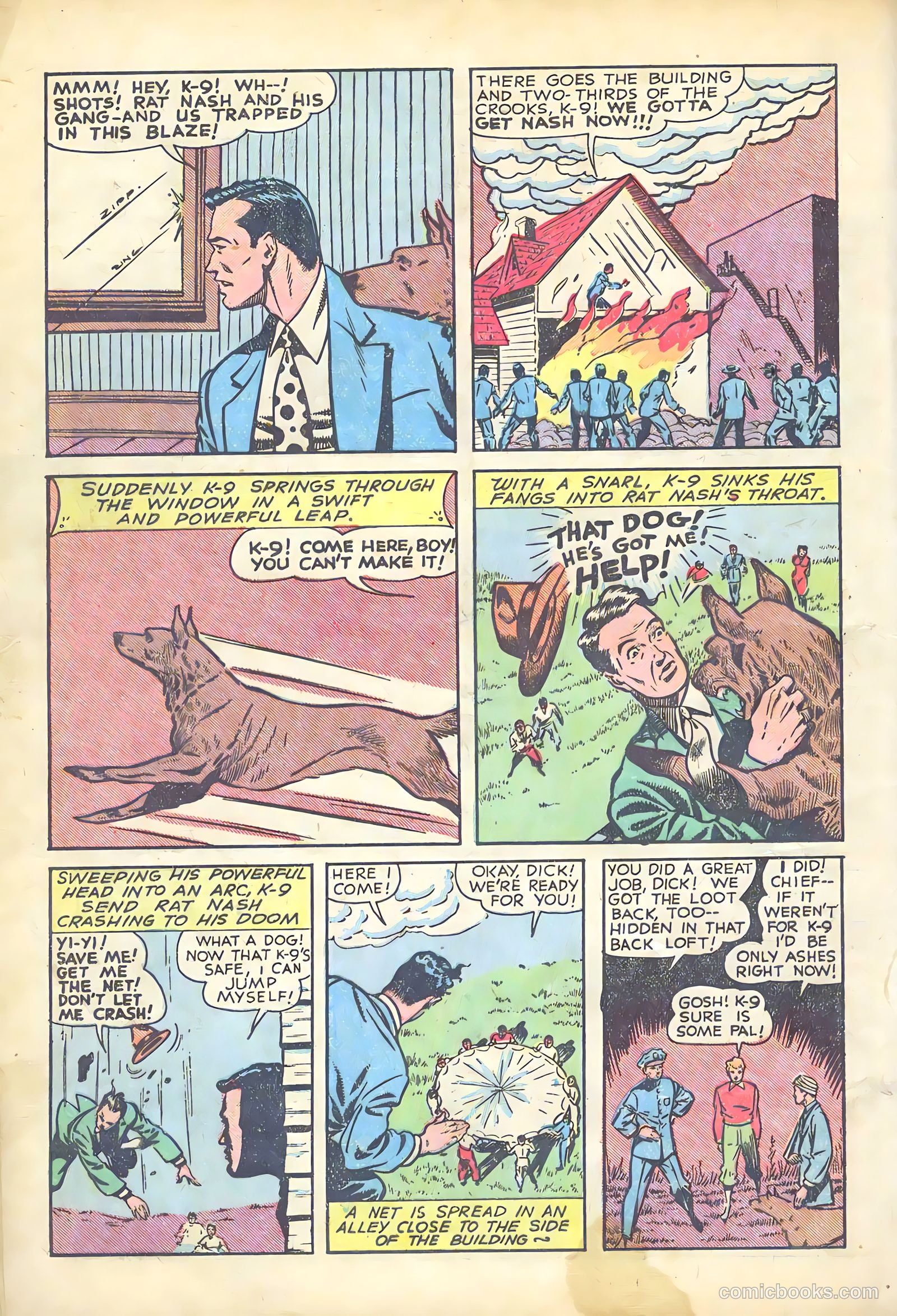 Major Victory Comics #3 (1945) — page 16 of 36