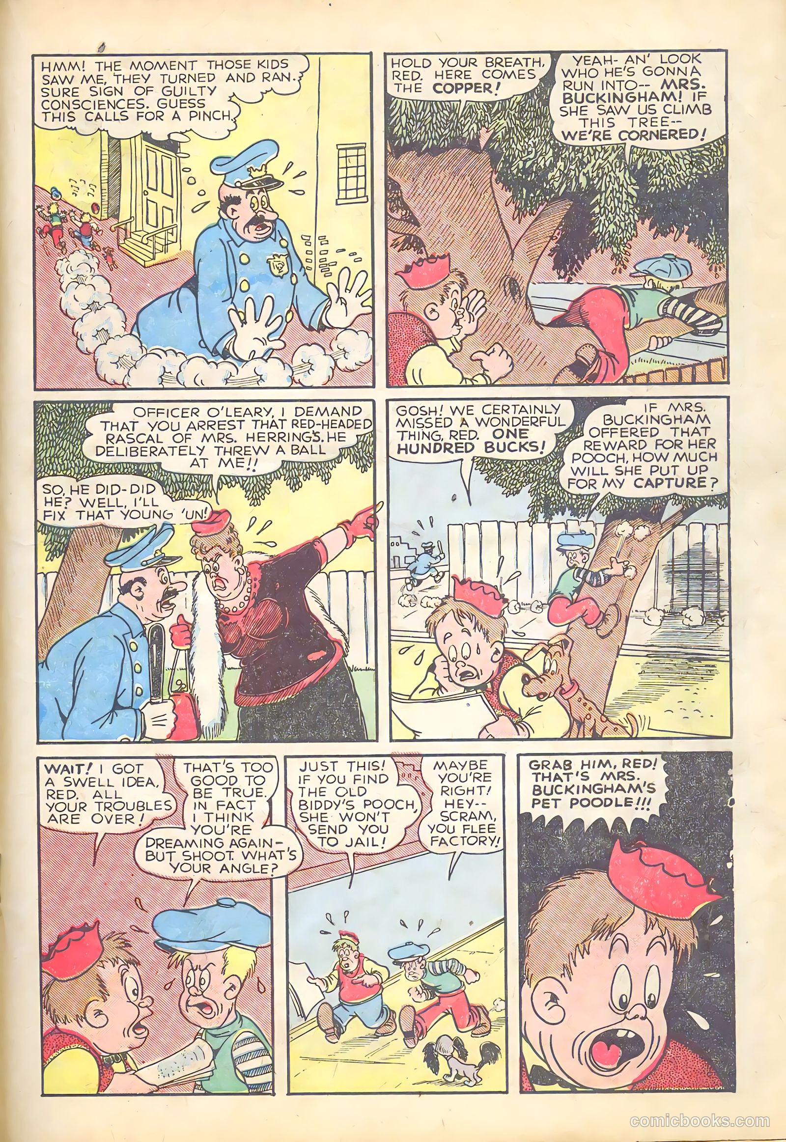 Major Victory Comics #3 (1945) — page 19 of 36