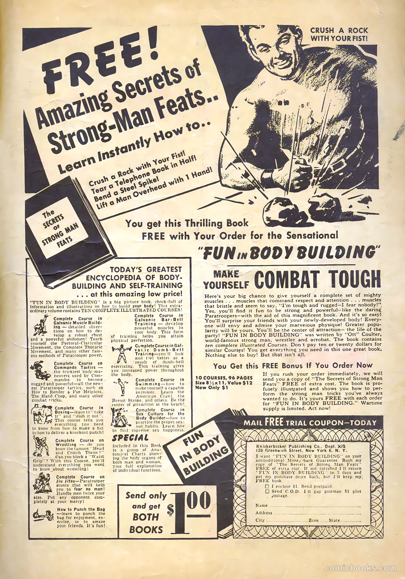 Major Victory Comics #3 (1945) — page 35 of 36