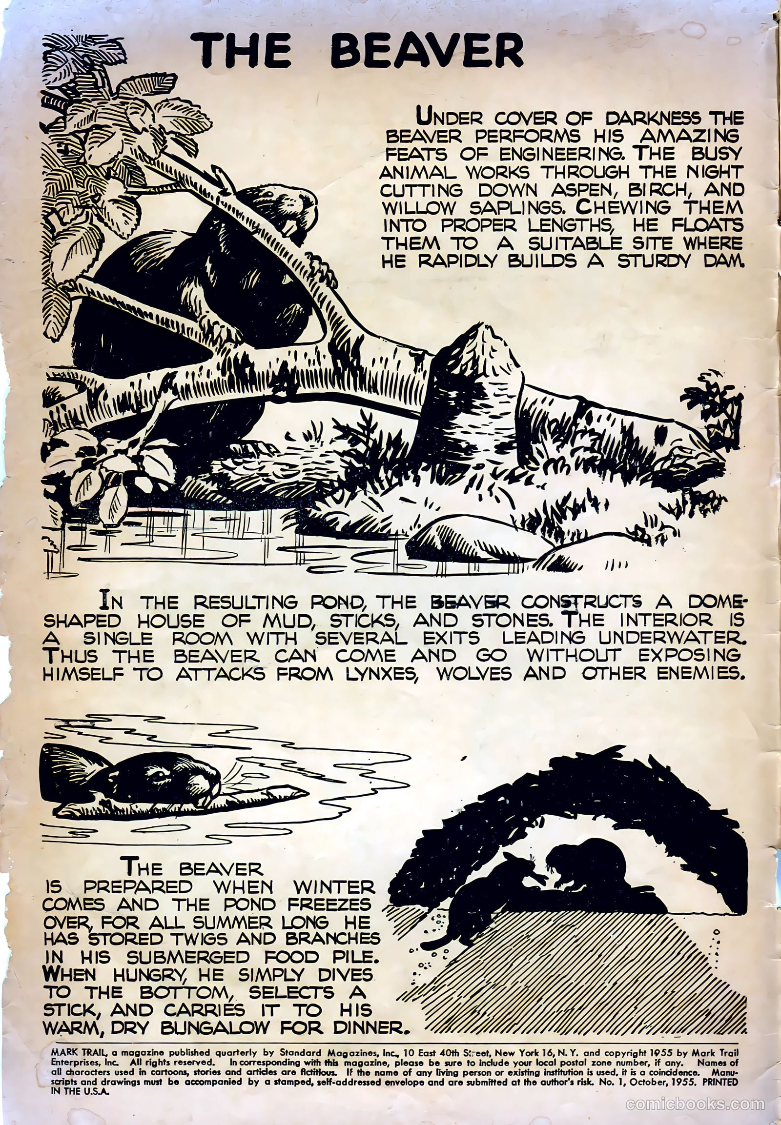 Mark Trail #1 (1955) — page 2 of 36