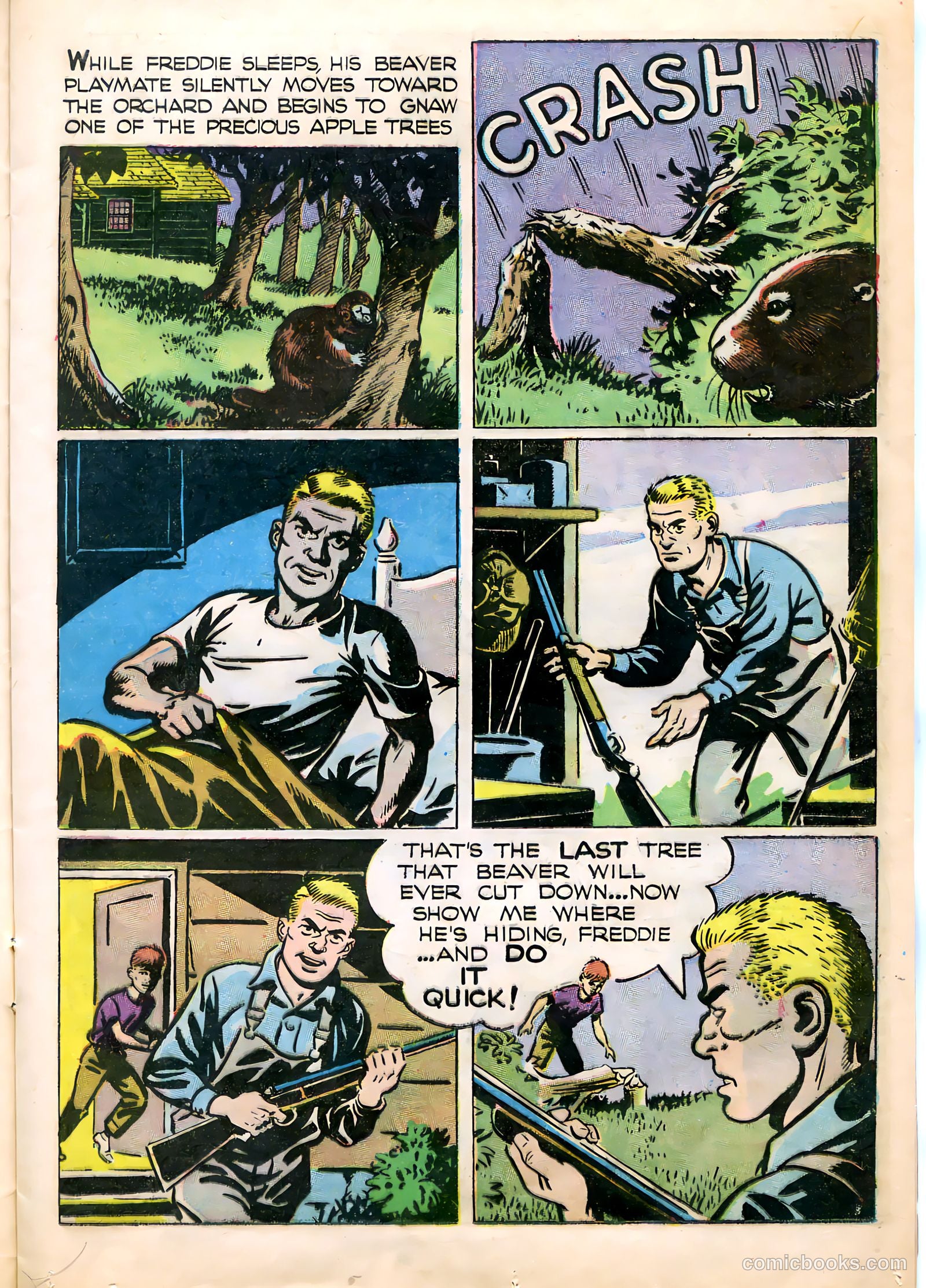 Mark Trail #1 (1955) — page 13 of 36