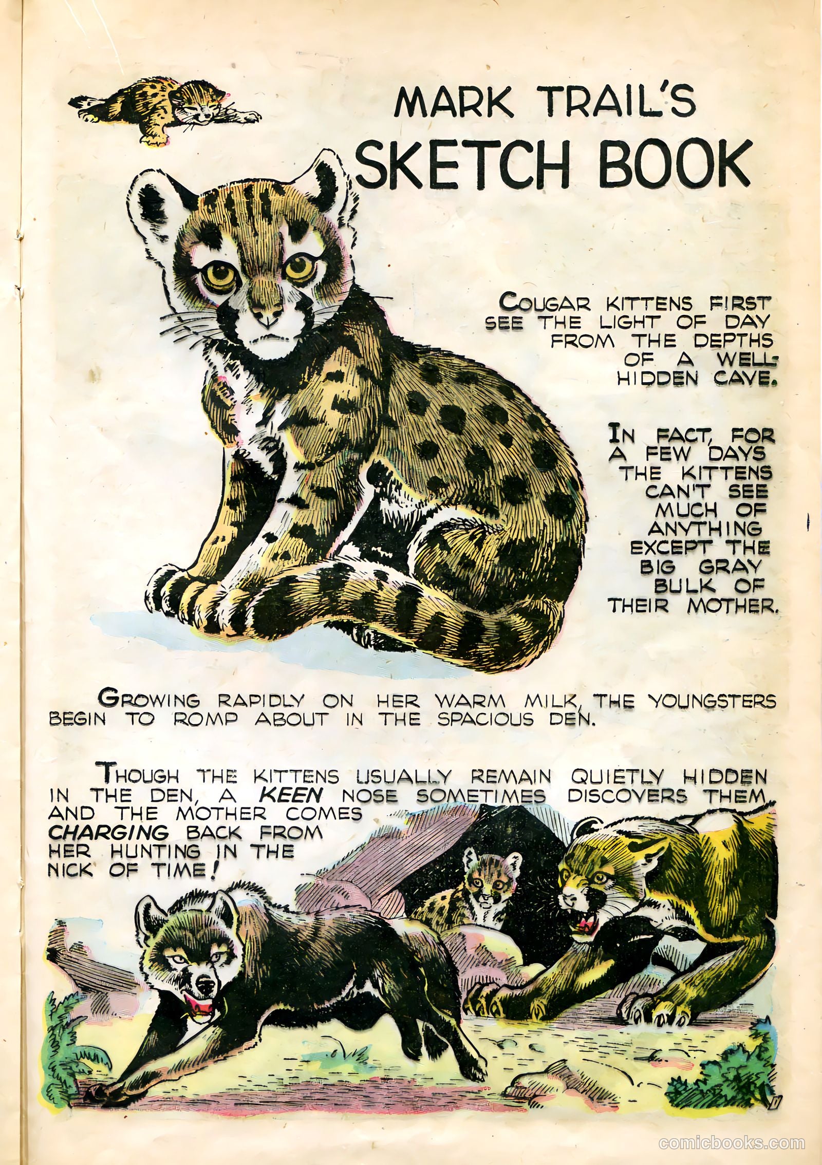 Mark Trail #1 (1955) — page 21 of 36