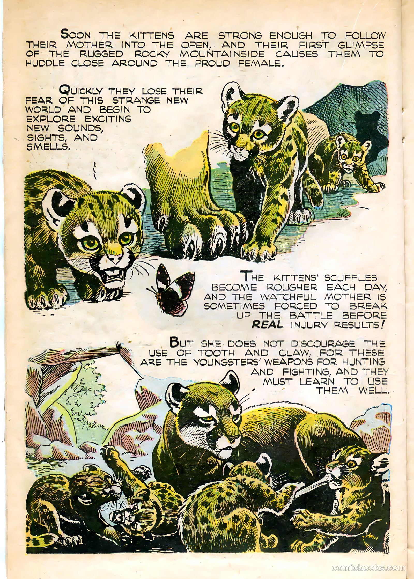 Mark Trail #1 (1955) — page 22 of 36
