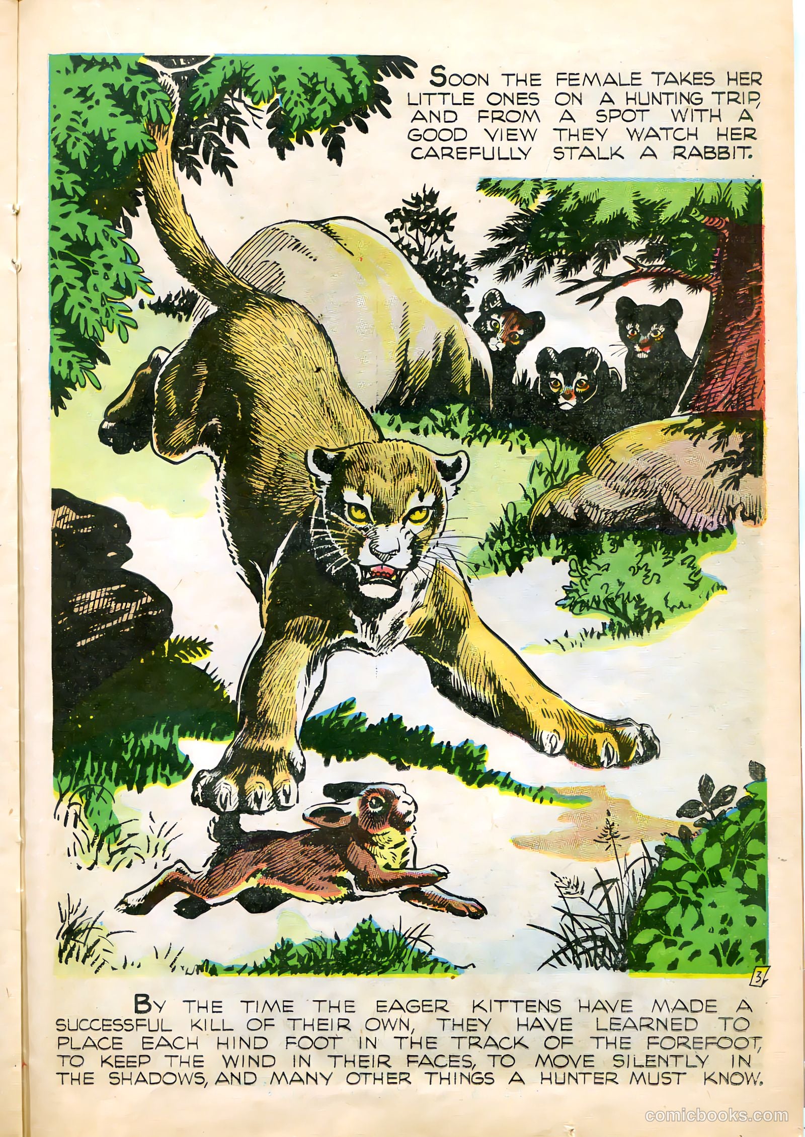 Mark Trail #1 (1955) — page 23 of 36