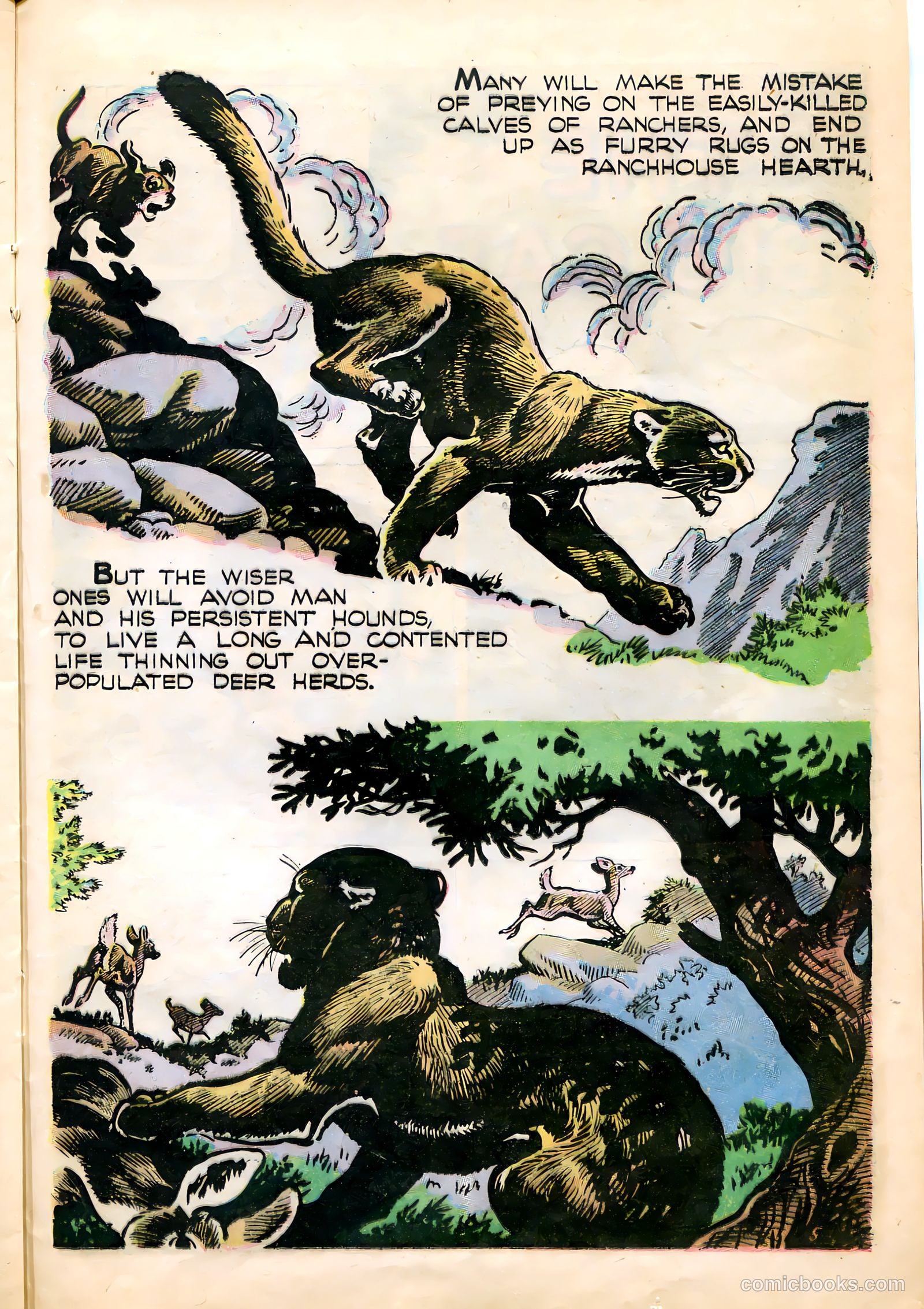 Mark Trail #1 (1955) — page 25 of 36
