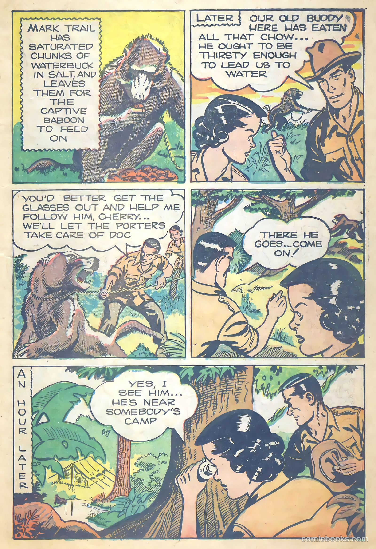 Mark Trail on Safari #5 (1959) — page 19 of 36