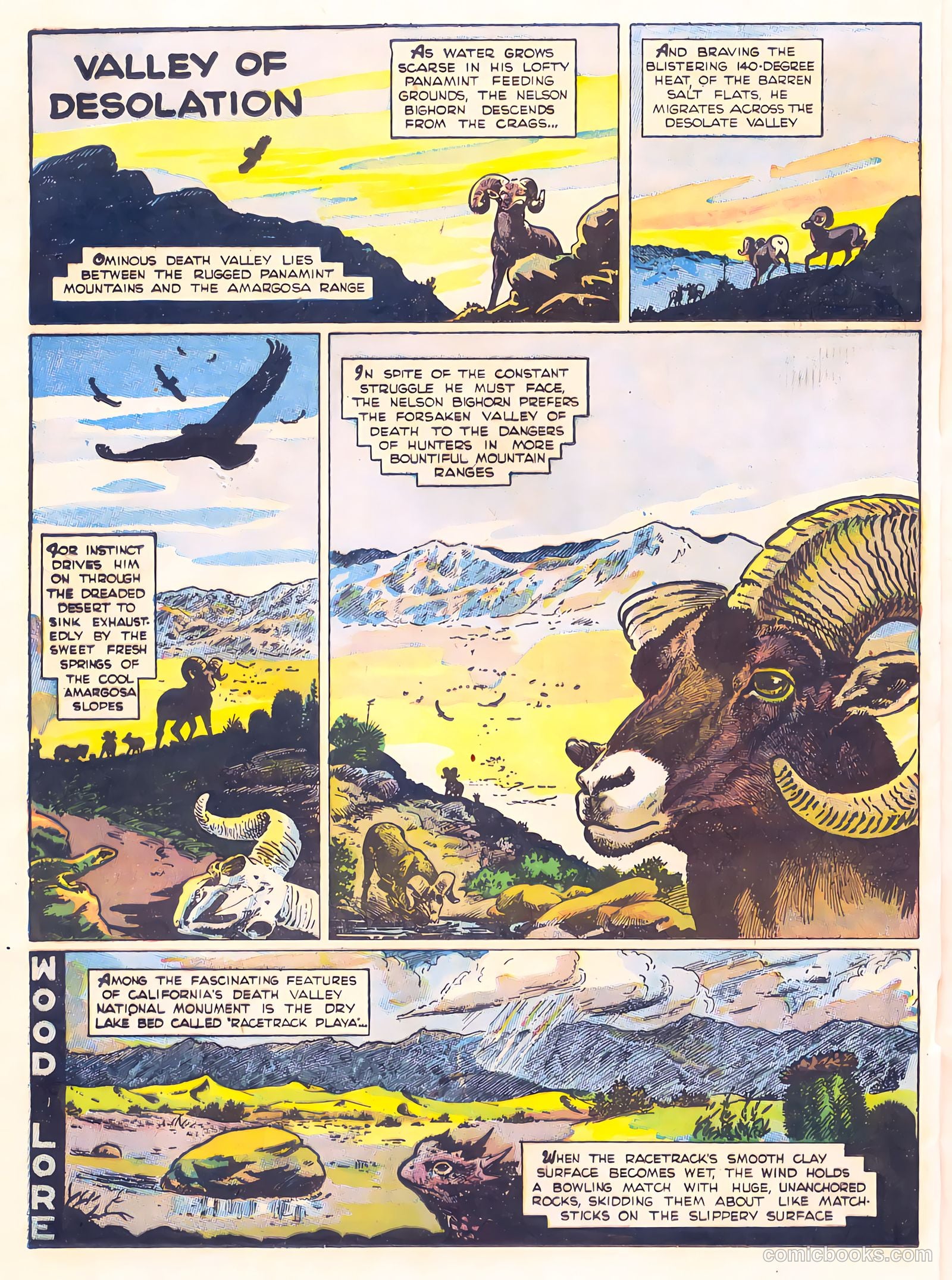 Mark Trail's Adventure Book of Nature #1 (1958) — page 4 of 84
