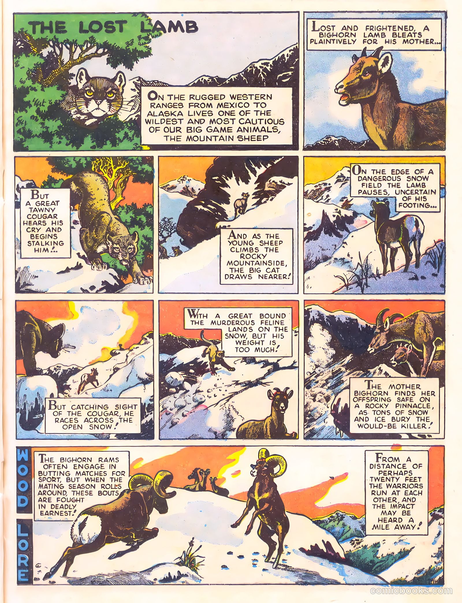 Mark Trail's Adventure Book of Nature #1 (1958) — page 5 of 84