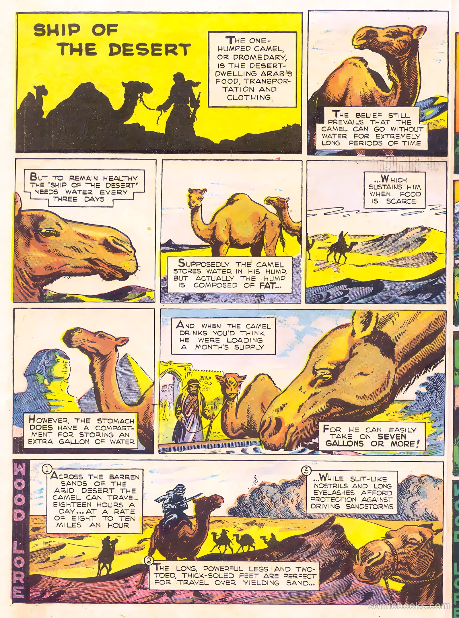Mark Trail's Adventure Book of Nature #1 (1958) — page 6 of 84