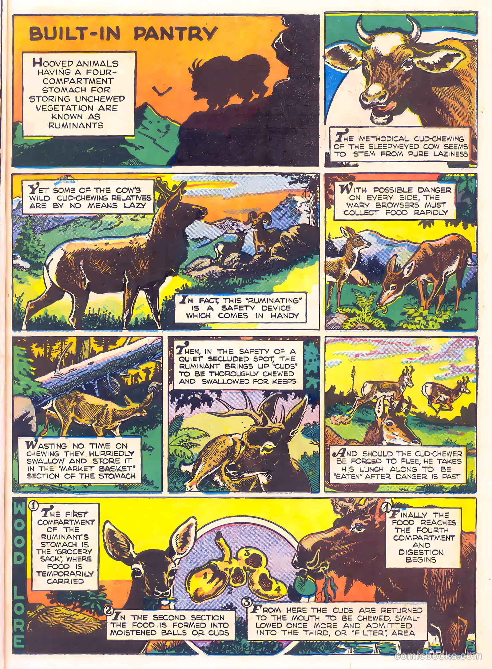 Mark Trail's Adventure Book of Nature #1 (1958) — page 7 of 84