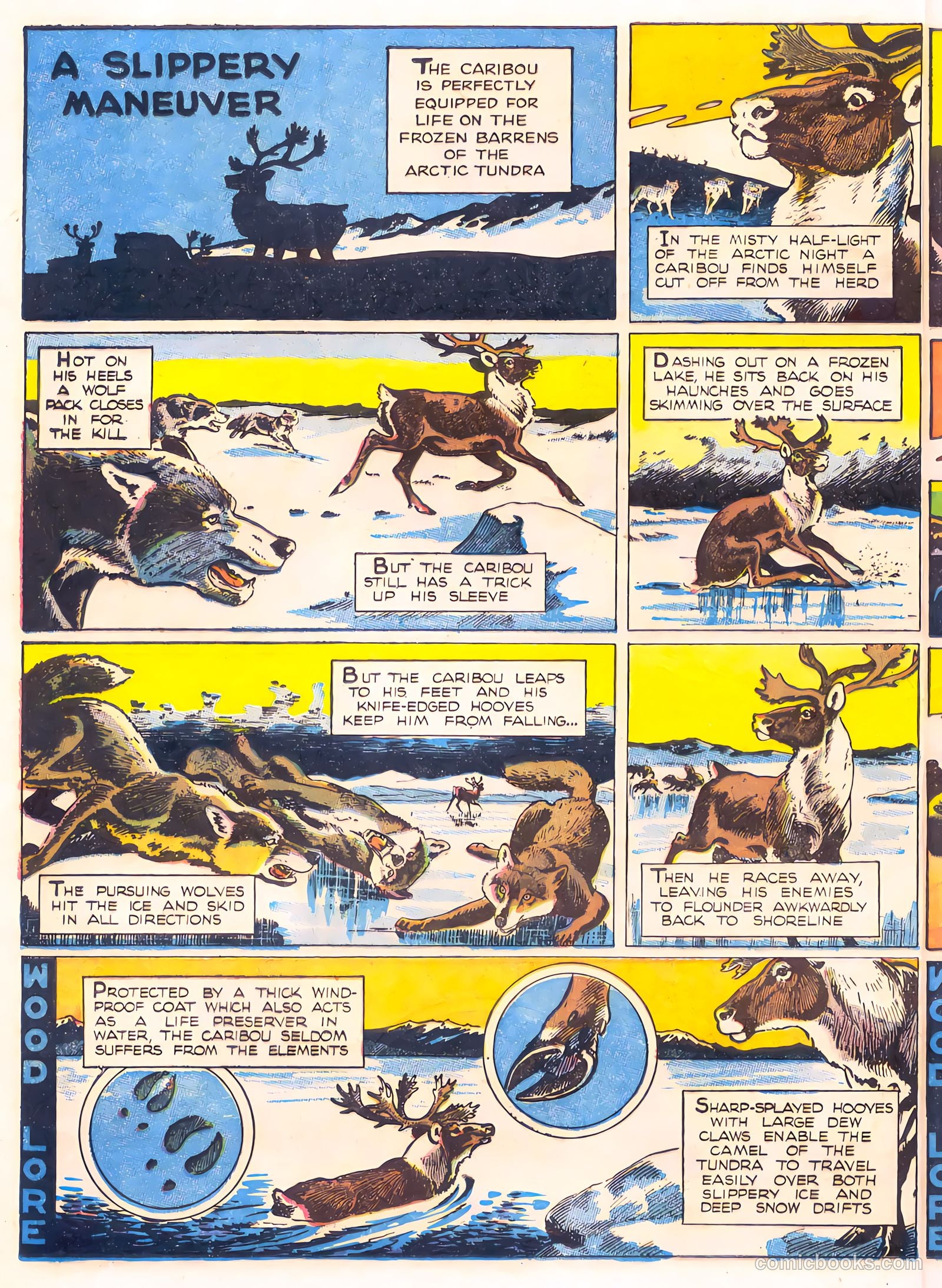 Mark Trail's Adventure Book of Nature #1 (1958) — page 8 of 84