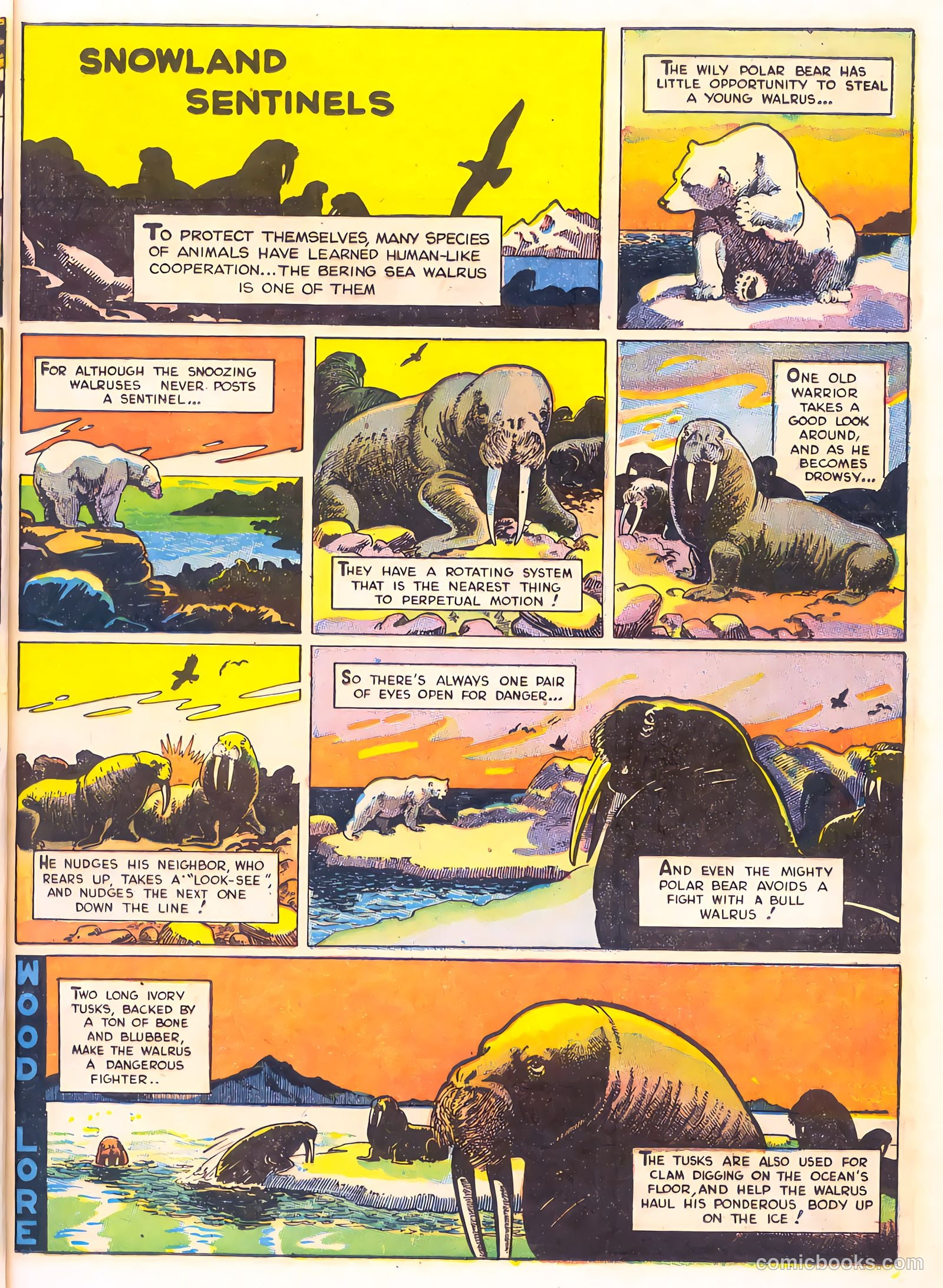 Mark Trail's Adventure Book of Nature #1 (1958) — page 9 of 84