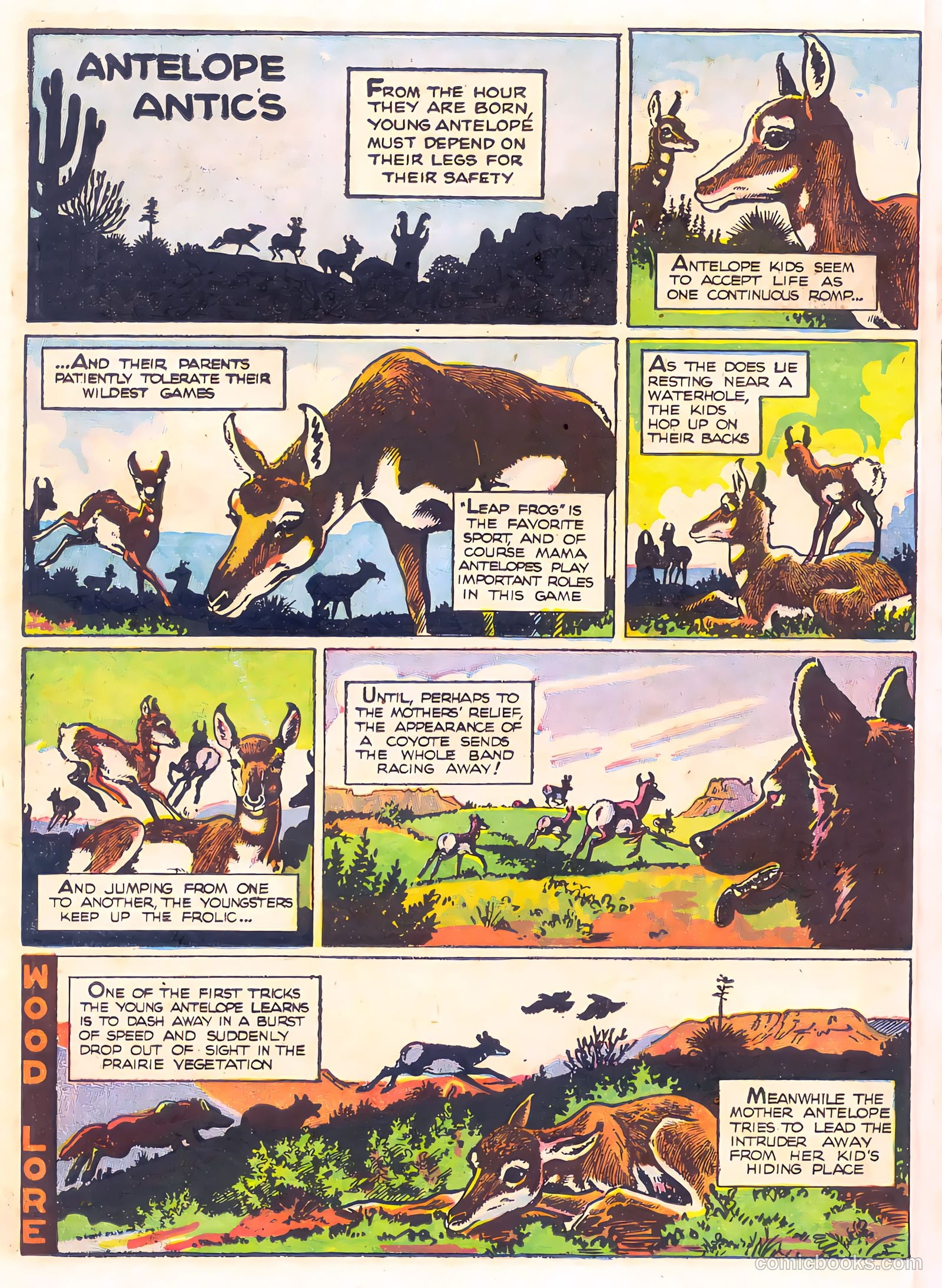 Mark Trail's Adventure Book of Nature #1 (1958) — page 10 of 84
