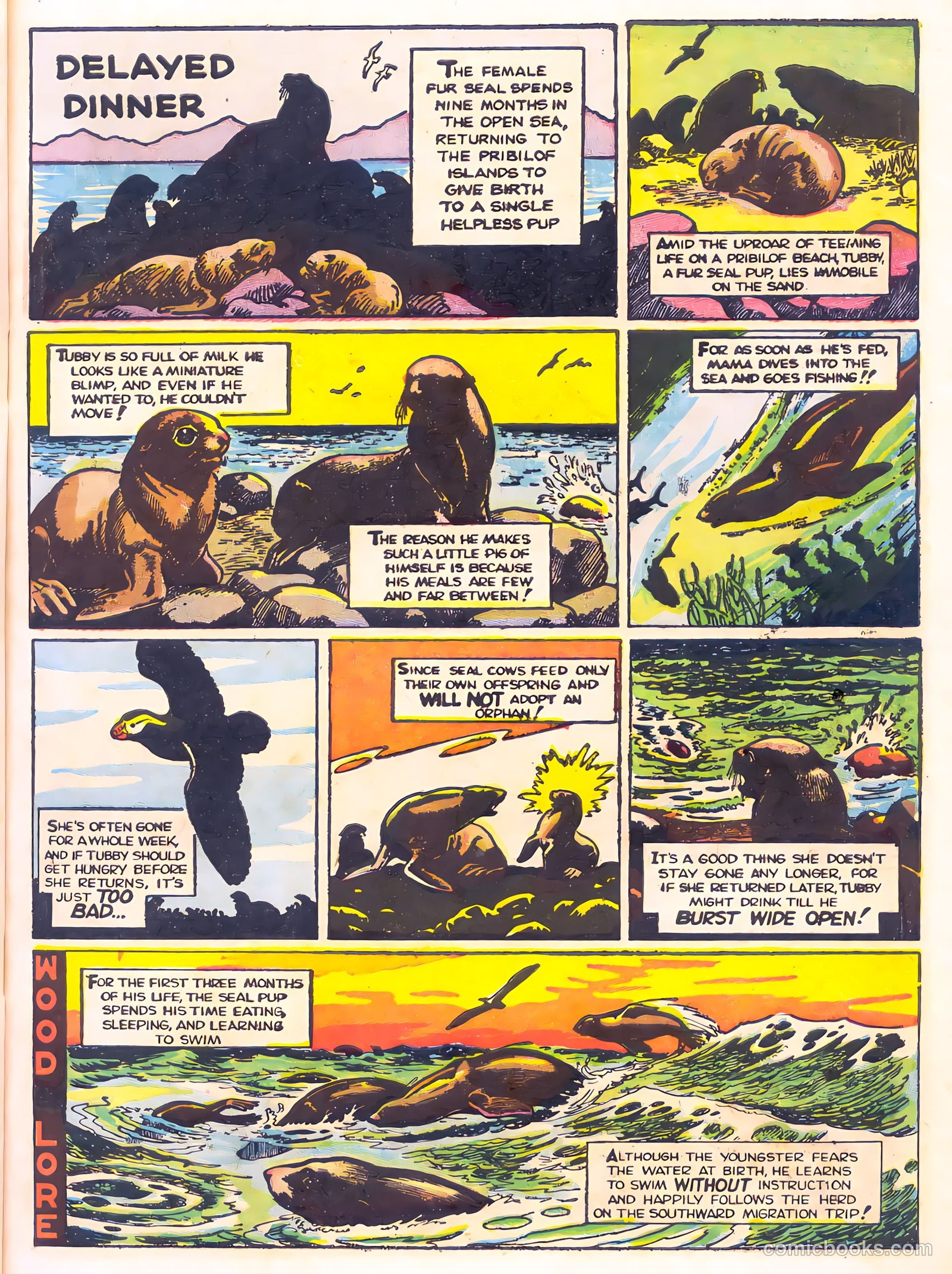 Mark Trail's Adventure Book of Nature #1 (1958) — page 11 of 84