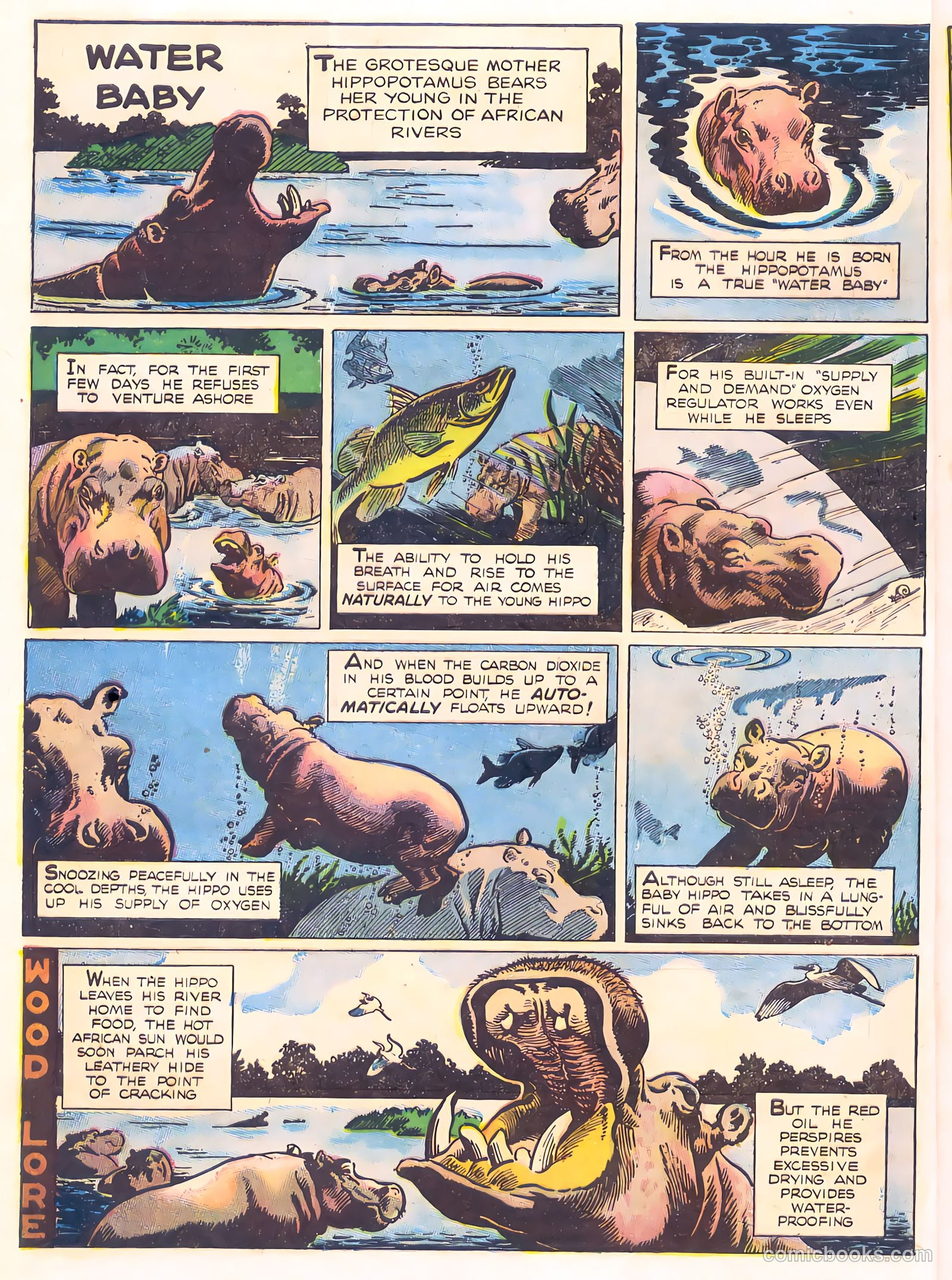Mark Trail's Adventure Book of Nature #1 (1958) — page 12 of 84