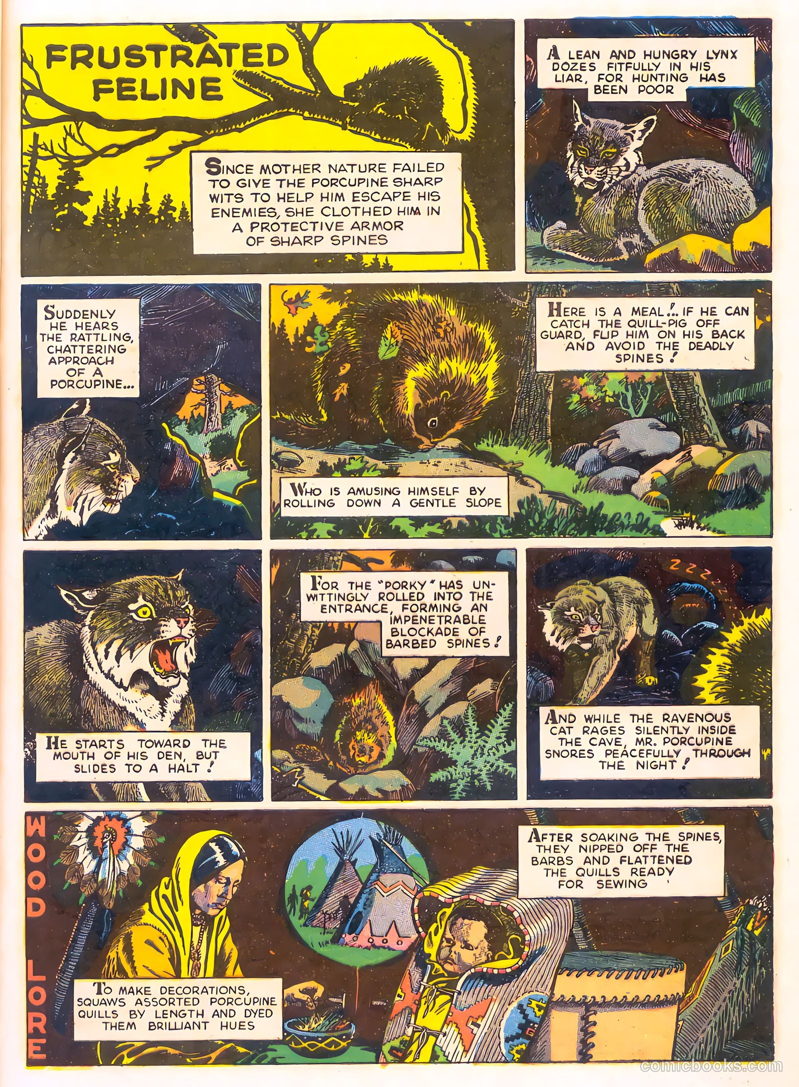 Mark Trail's Adventure Book of Nature #1 (1958) — page 13 of 84