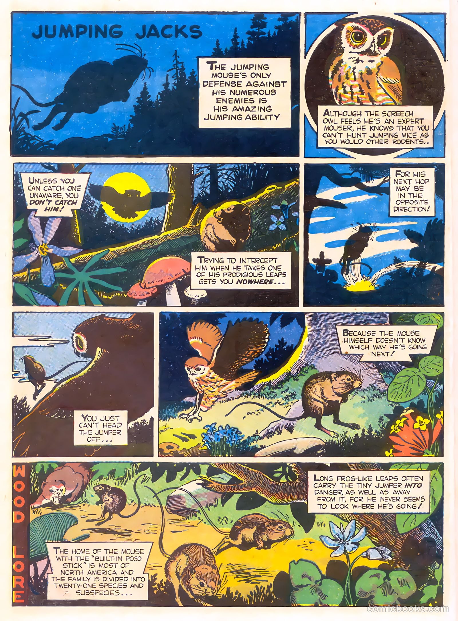 Mark Trail's Adventure Book of Nature #1 (1958) — page 14 of 84