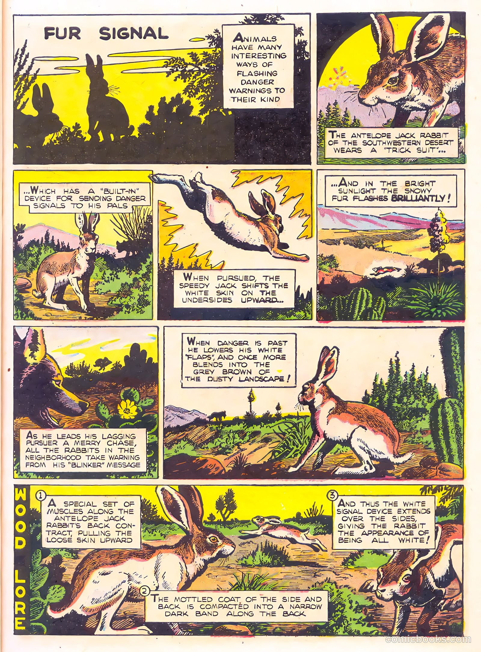 Mark Trail's Adventure Book of Nature #1 (1958) — page 15 of 84