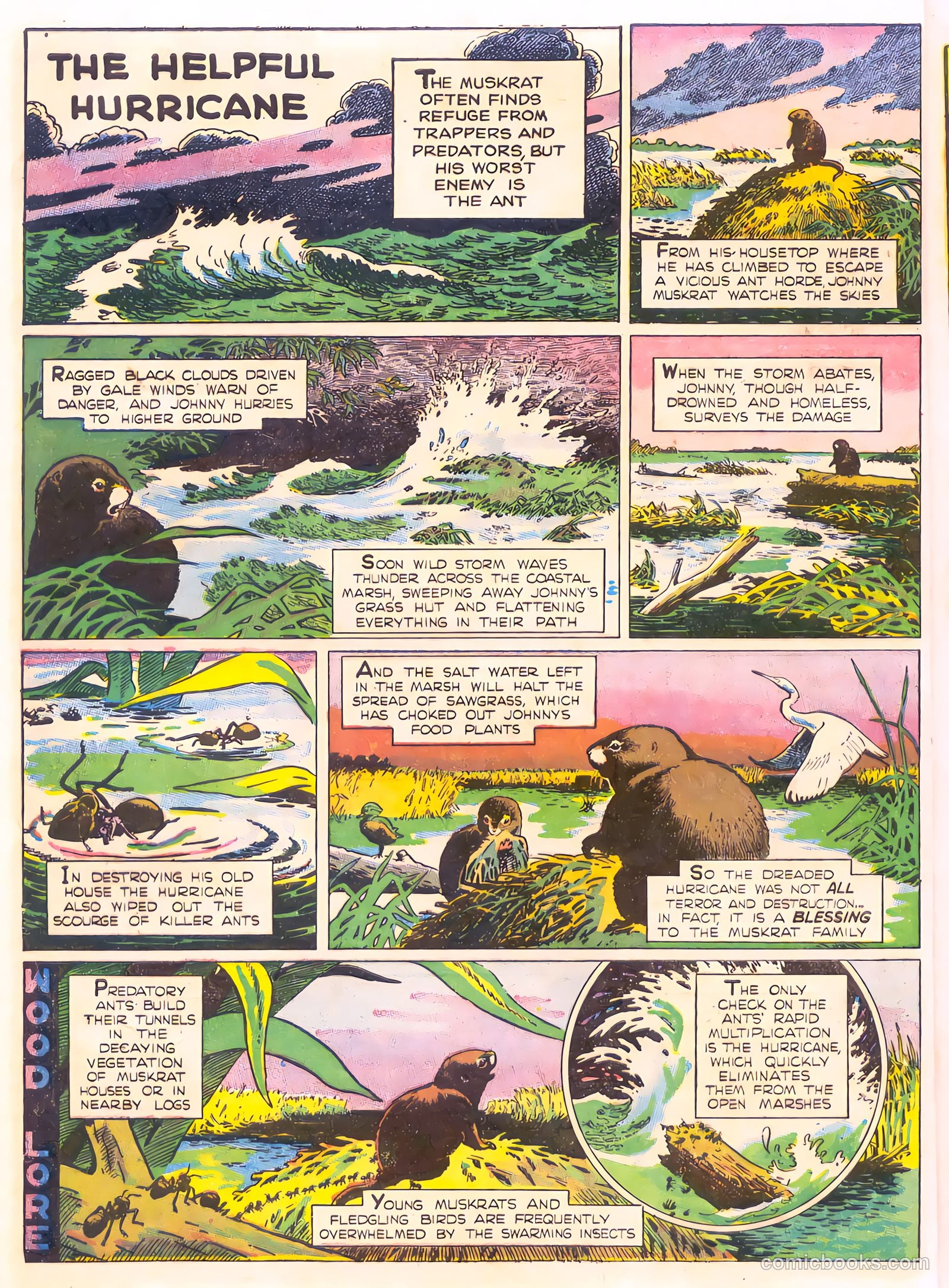 Mark Trail's Adventure Book of Nature #1 (1958) — page 16 of 84