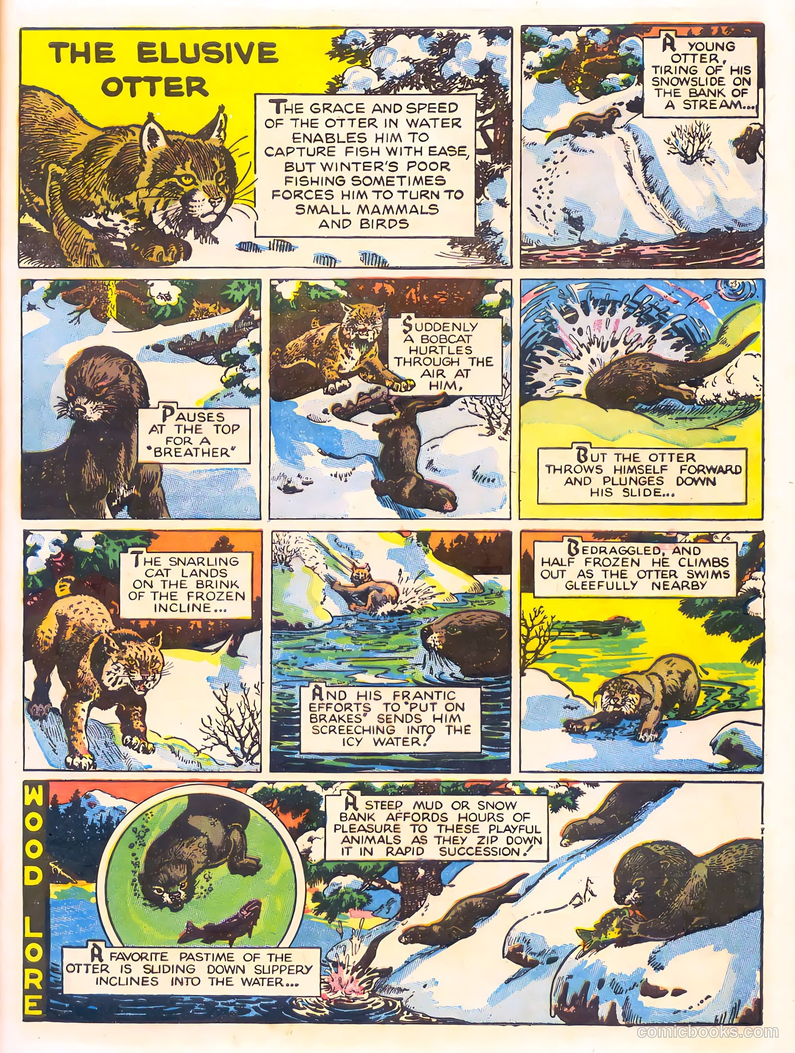 Mark Trail's Adventure Book of Nature #1 (1958) — page 17 of 84