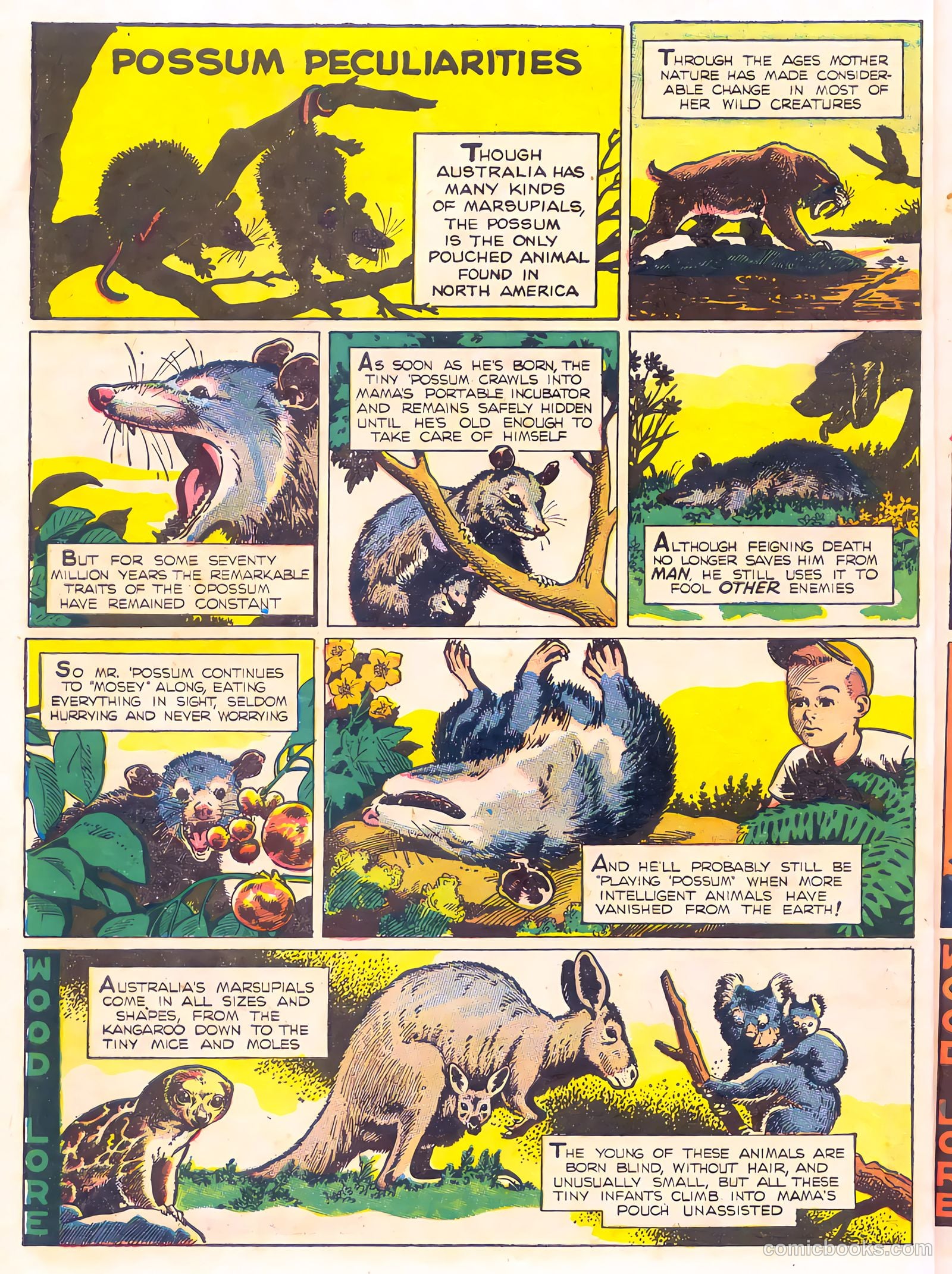 Mark Trail's Adventure Book of Nature #1 (1958) — page 18 of 84
